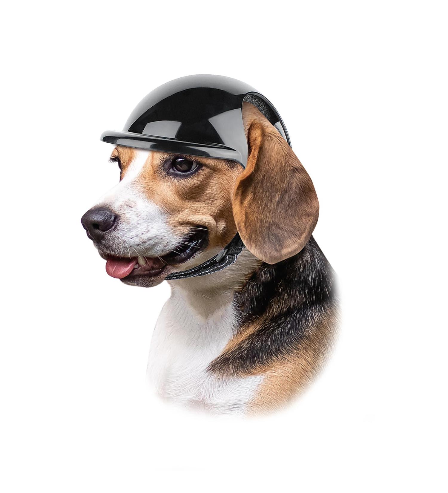 Buy Dog & Cat Motorcycle Helmets | Outdoor Safety Hard Hats for Pets (27-44 lbs) - Protect Your Furry Friends - Buy Online on GoSupps.com
