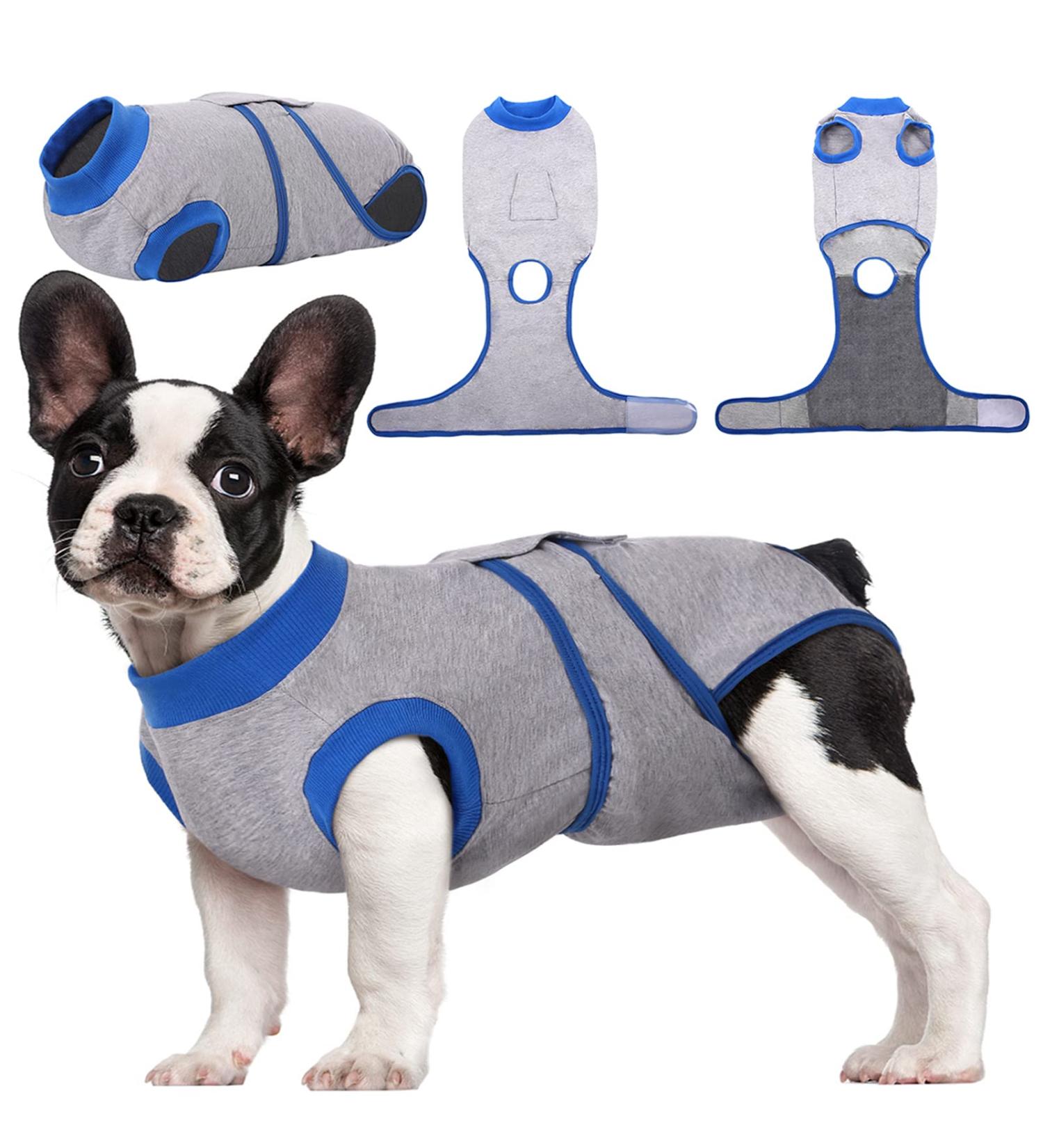 Kuoser Dog Recovery Bodysuit for Post-Op Care | Breathable Protective Dog Suit for Male & Female Dogs | Leakage Protection & Anti-Licking Design - Size S (1 Pack) - Gray - Buy Online on GoSupps.com