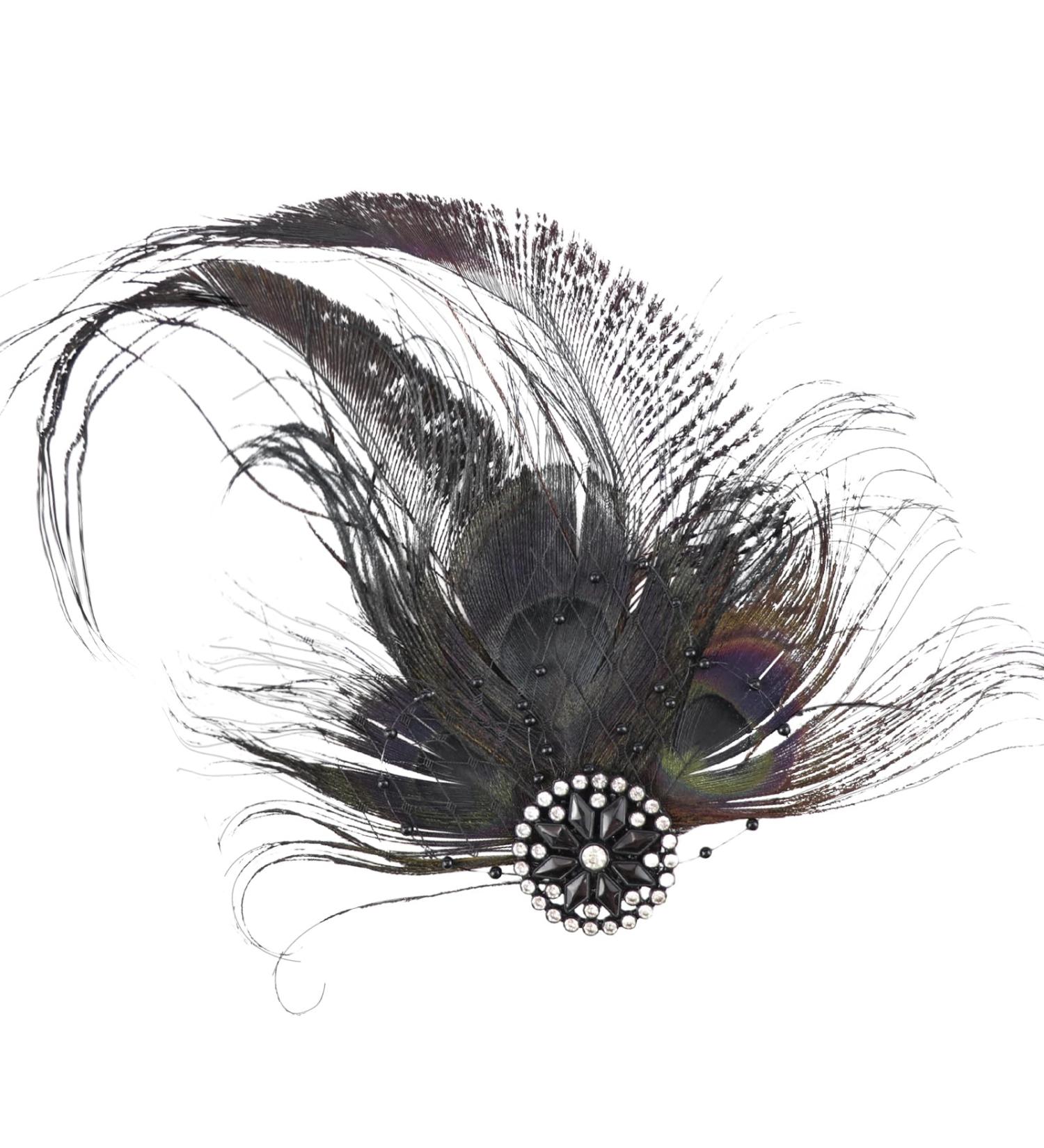 FERCAISH Women's Plumage Mesh Hair Clip 20s Hair Clip Vintage Costume Hair Accessories Fascinator Headwear for Women Birthday Wedding Party (Black) - Buy Online on GoSupps.com