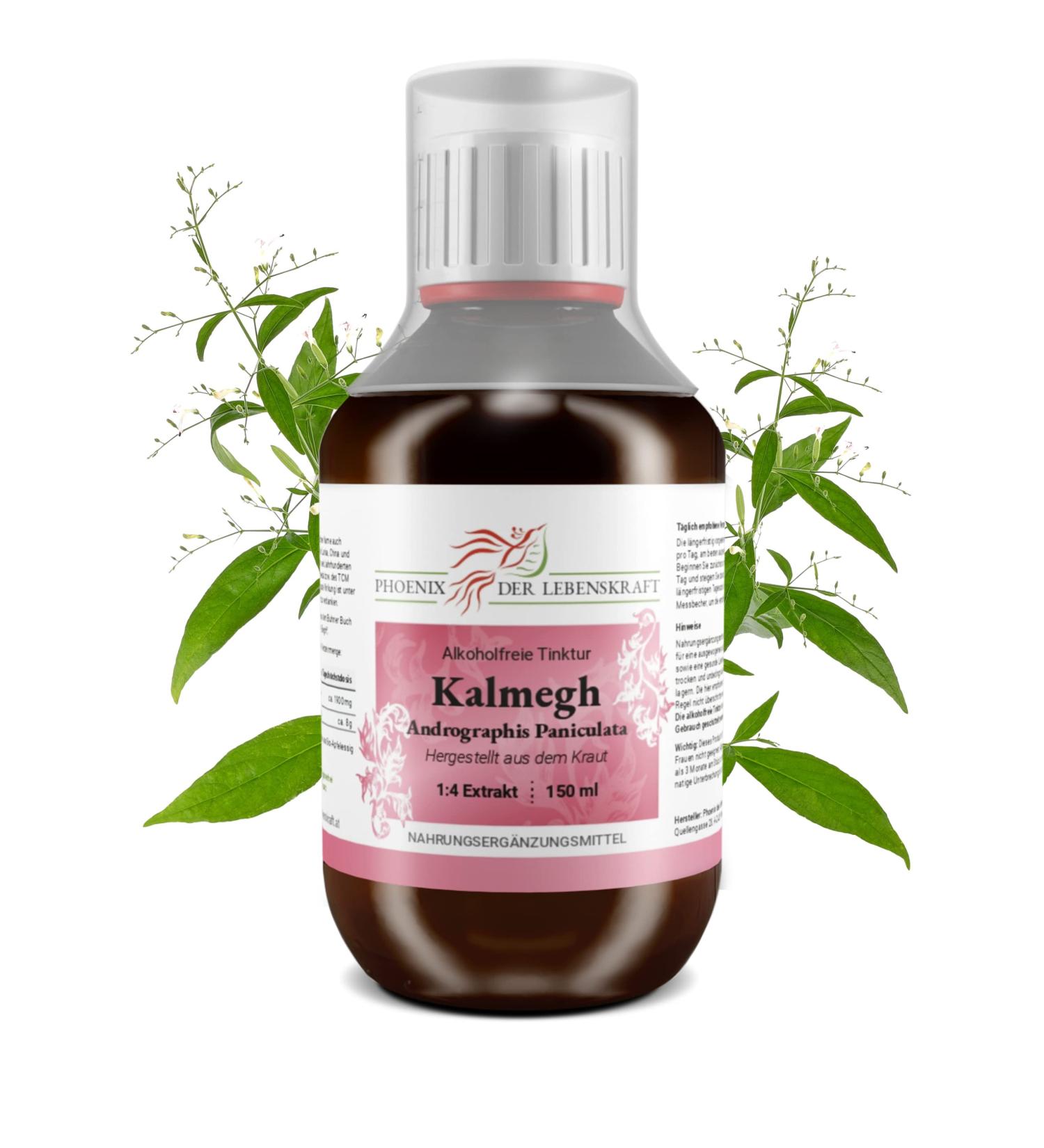 Kalmegh Tincture (Alcohol-Free) 150ml | Premium Andrographis Paniculata Drops | Vegan Syrup | Made in Austria | 1:4 Extract | International Shipping Available - Buy Online on GoSupps.com