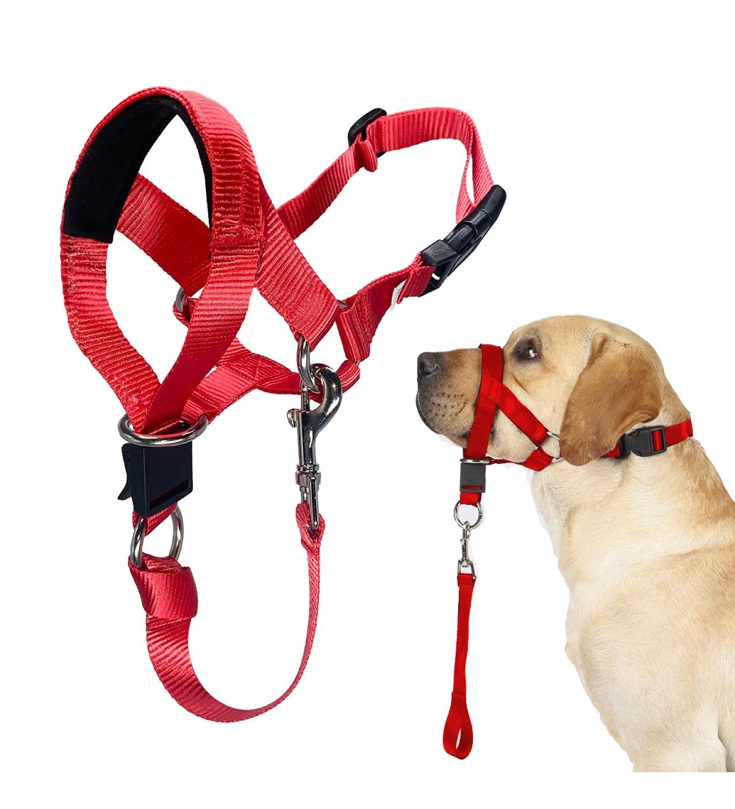 Barkeless Halter for Easy Dog Training & Walking | Stop Pulling | XXL X-FOR Extra Large Dogs Red - Buy Online on GoSupps.com