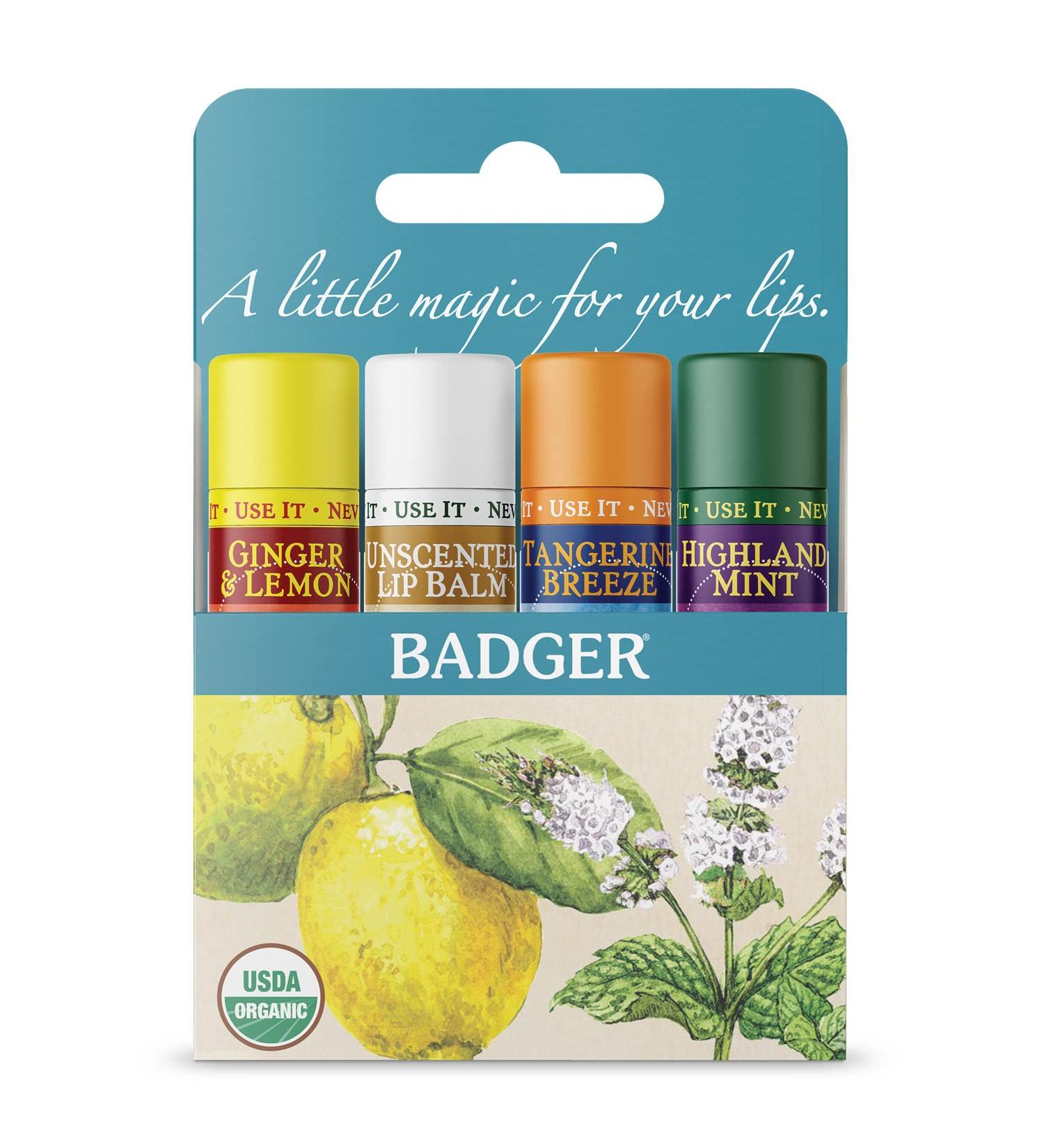 Badger Organic Classic Lip Balm Sticks - Blue Box (4 x 0.15 oz) | Natural Moisturizer - Buy Online on GoSupps.com