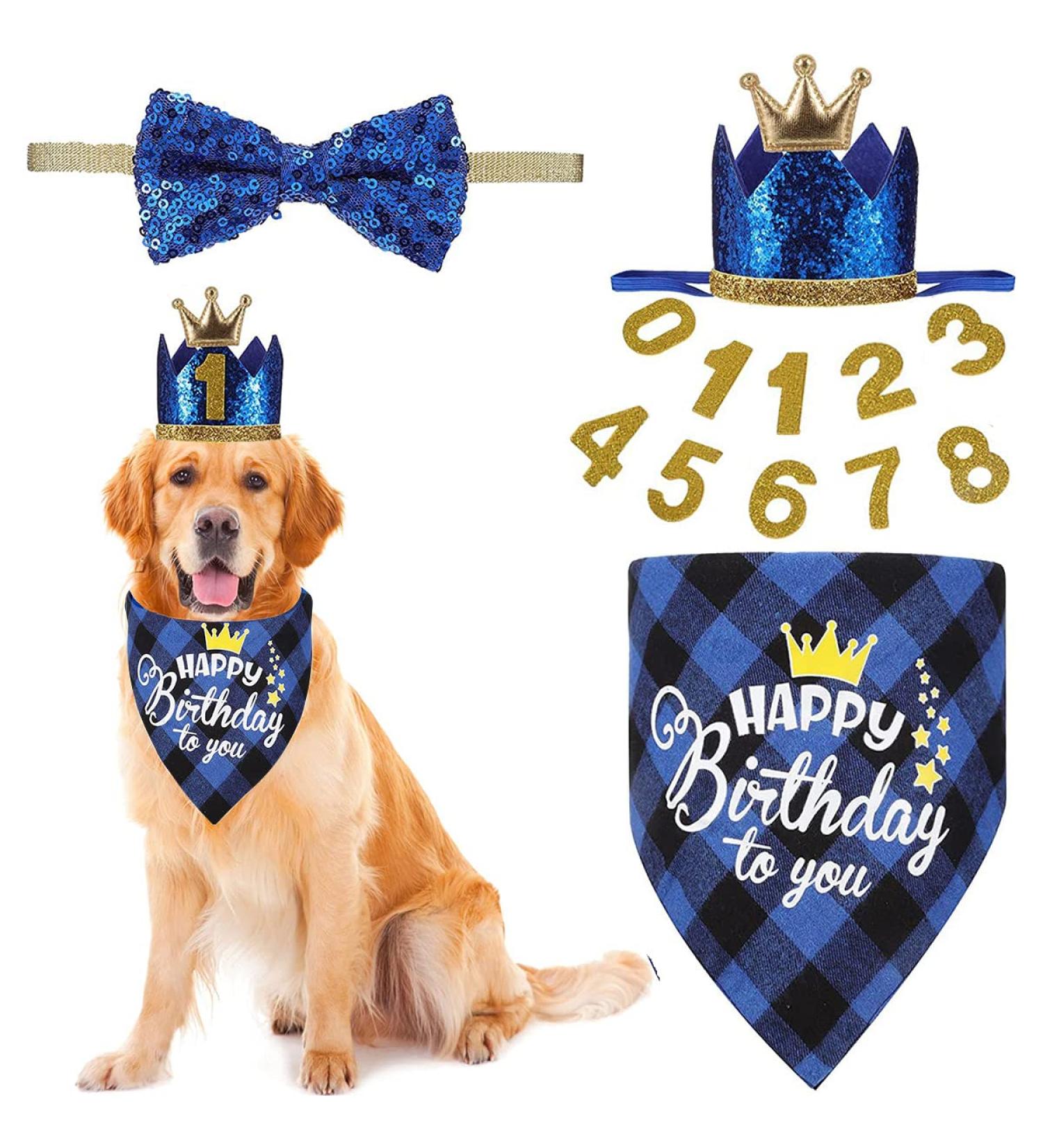 Crown Dog Birthday Hat 4PCS Cute Dog Birthday Hat and Bandana with Dog Bow Tie and Gold Numbers Reusable Dog Birthday Party Supplies for Pet Puppy Cats Small Medium Dogs (New Blue) - Buy Online on GoSupps.com