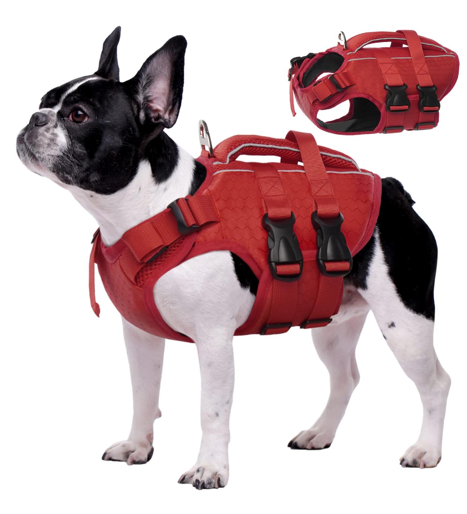 Kuoser Adjustable Dog Lifeguard Vest - Ripstop & High Swimming Capacity for Small to Large Dogs - Perfect Pet Swimming Suit for Beach - XS Red - Buy Online on GoSupps.com