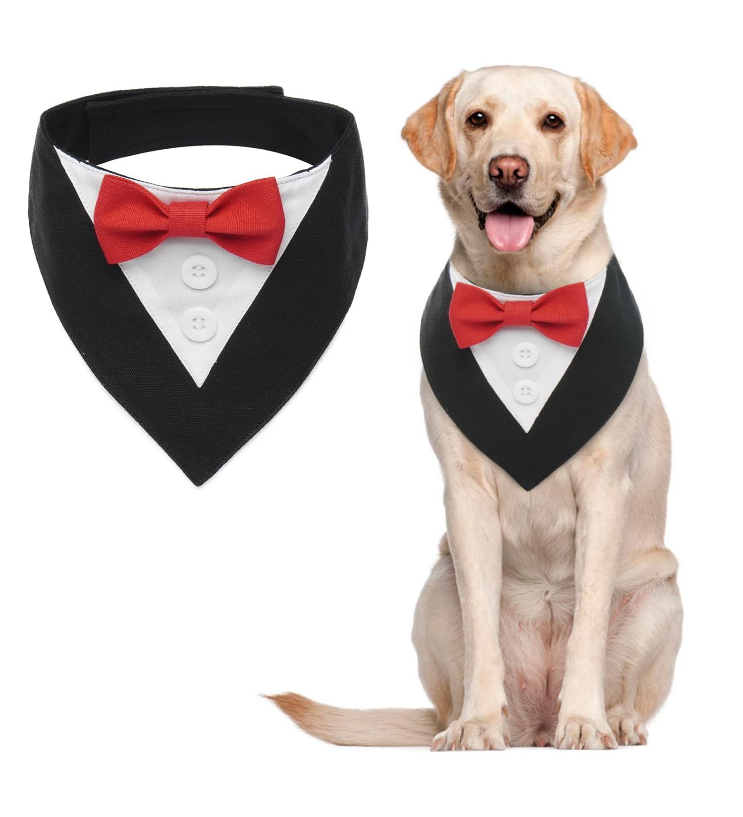 Maustlie Dogs Smoking Bandana - Adjustable Formal Pet Suit for Wedding Birthday Halloween & Christmas (M Red-Black) - Buy Online on GoSupps.com