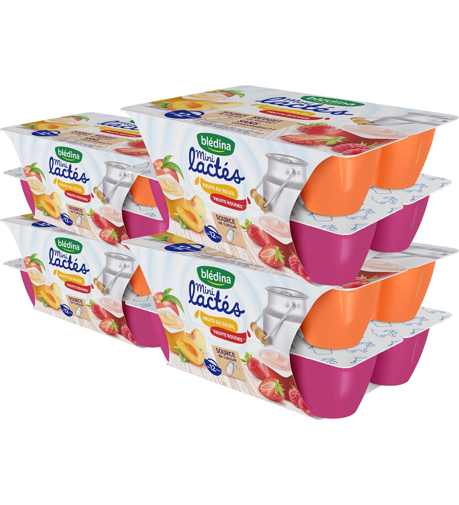 Bl dina Mini Milky for Babies From 12 Months Sun Fruits/Red Fruits 4 x (12 x 55 g)