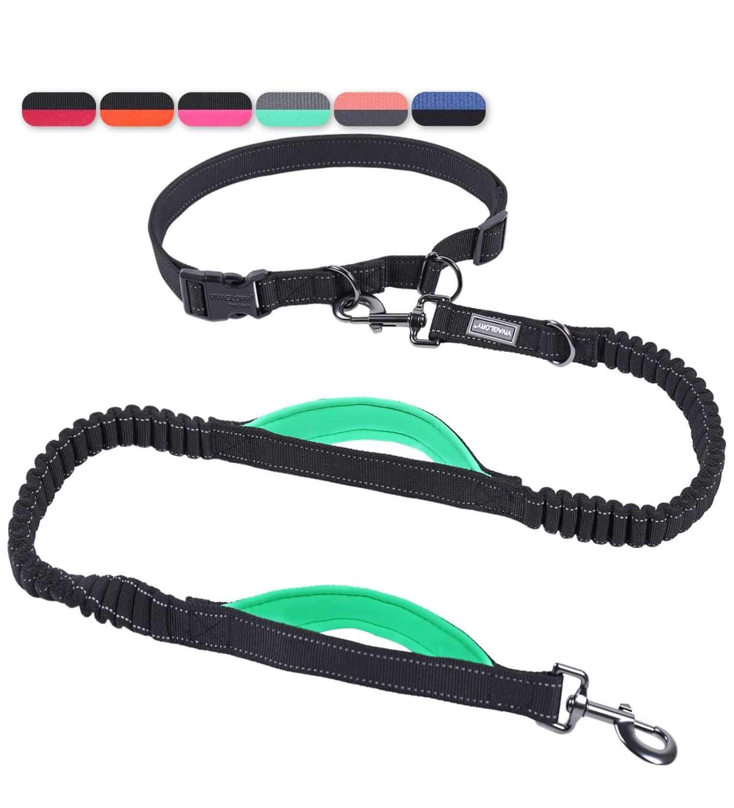 Vivaglory Reflective Waist Dog Leash | Free-Handed Bungee Leash for Medium & Large Dogs | Double Padded Handles | Perfect for Jogging & Training | Adjustable Waist 65-112cm - Black/Turquoise - Buy Online on GoSupps.com