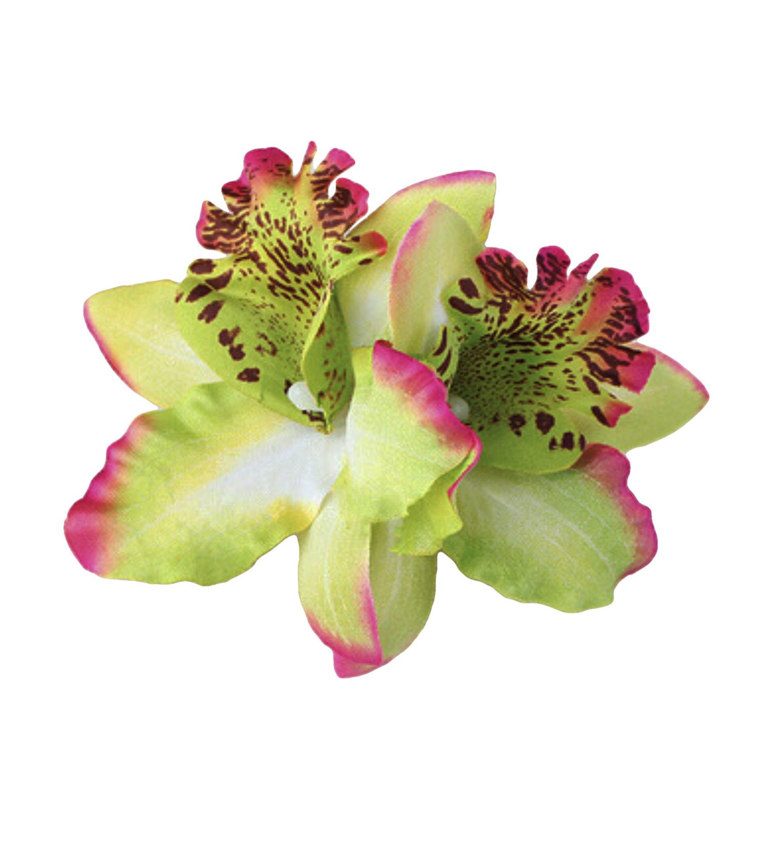 Diawell Orchid Hair Clip - Elegant Flower Blossom Corsage Hair Accessory with Green 2x Flowers for Stunning Hairstyles - Buy Online on GoSupps.com