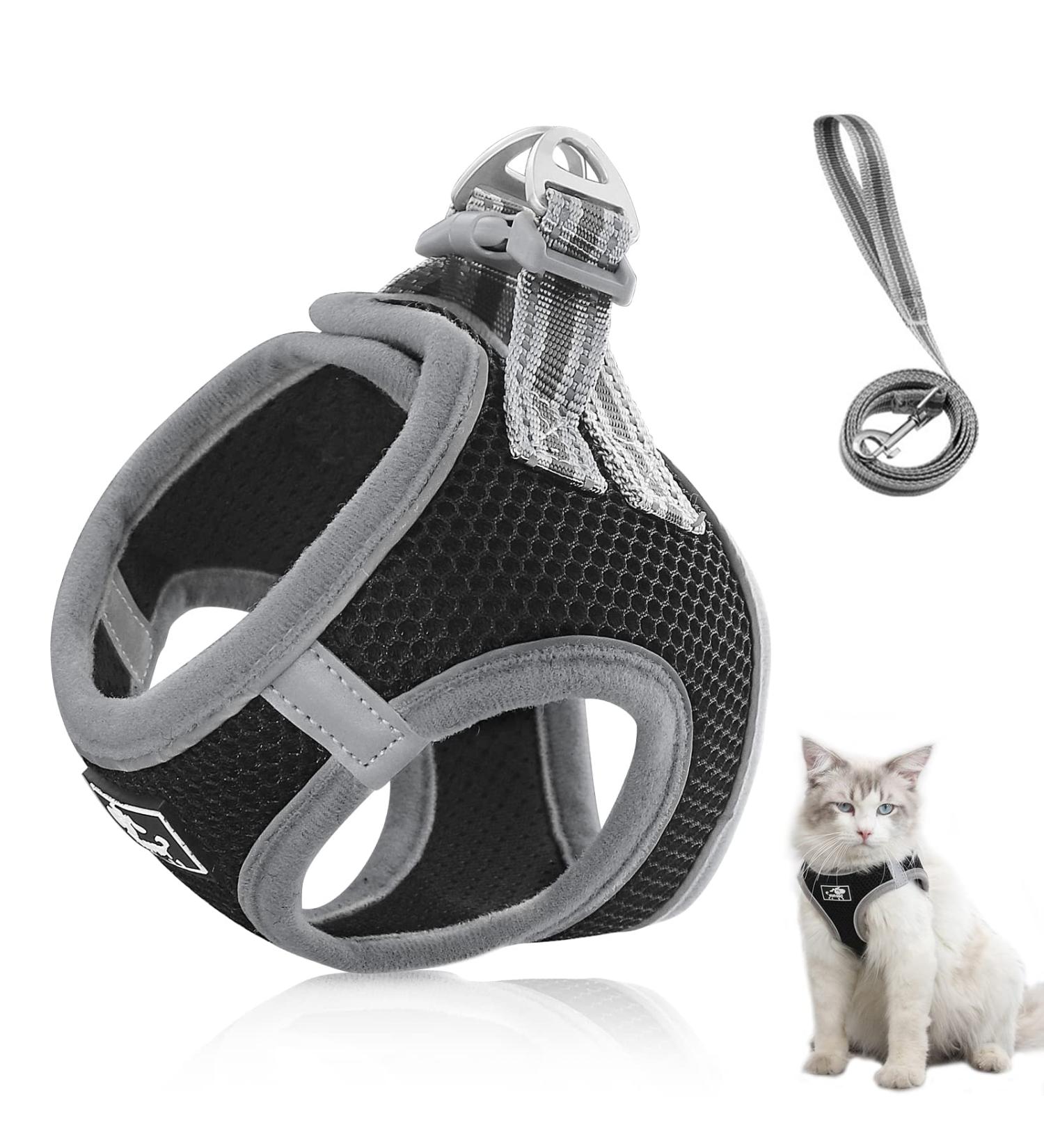 Adjustable Cat Dishes with Leash - Breakout-Proof Reflective Tableware for Cats & Small Dogs (Black Medium) - Buy Online on GoSupps.com