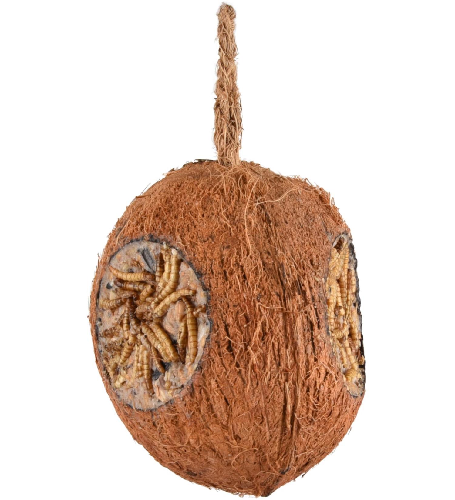 Flamingo Coconut with 3 holes of flour - wild bird food