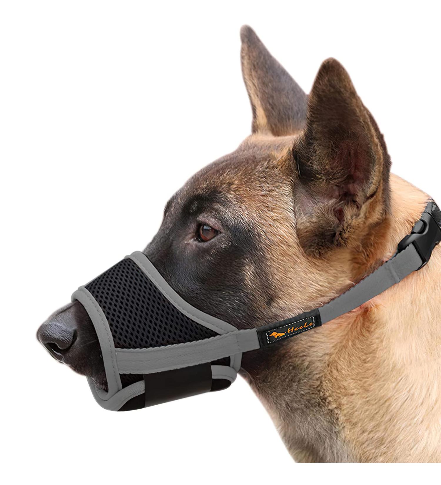 Adjustable Heele Dog Muzzle - Breathable & Safe for Small/Medium Dogs - Prevents Biting Chewing Barking (XS Gray) - Buy Online on GoSupps.com