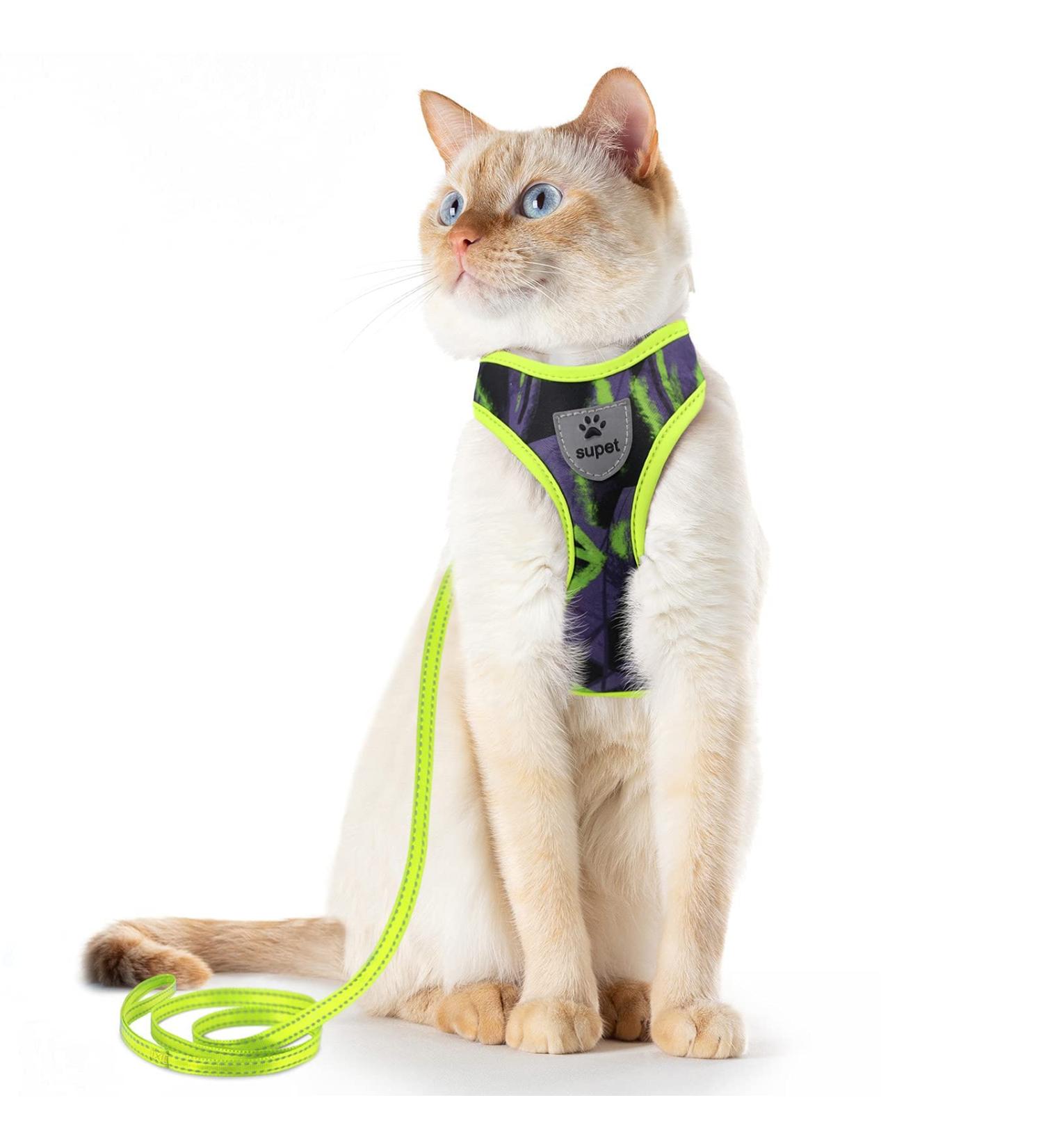 Supet Cat Dishes & Line Set - Perfect Feeding Solution for Kittens | International Shipping Available - Buy Online on GoSupps.com