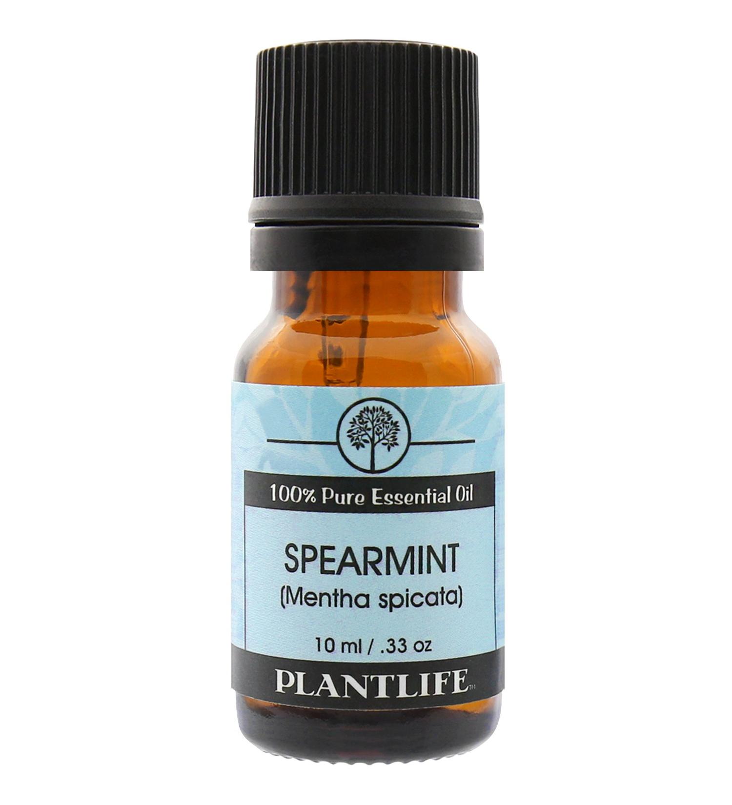 Plantlife Spearmint Aromatherapy Essential Oil - Straight from The Plant 100% Pure Therapeutic Grade - No Additives or Fillers - 10 ml