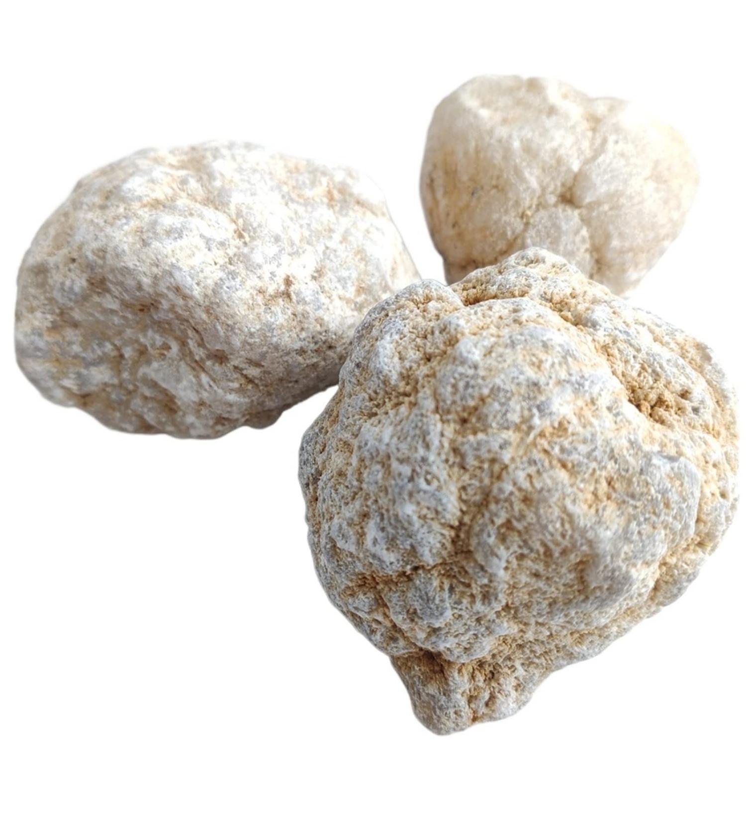 Natural Crystal Rough 500g Agate Irregular Geode Agate Crystals Complete Hollow Stone Specimen White Crystal Cavity Fun Cutting Stone Crafts Random size 500g - Buy Online on GoSupps.com