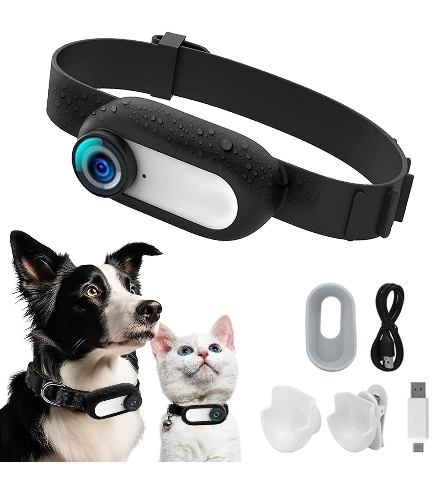 No Need WiFi Cat Neck Camera Sports Camera with Video Discs HD 1080P Mini Body Camera Indoor/Outdoor Wireless Pet Camera Dog Supplies Gift - Buy Online on GoSupps.com