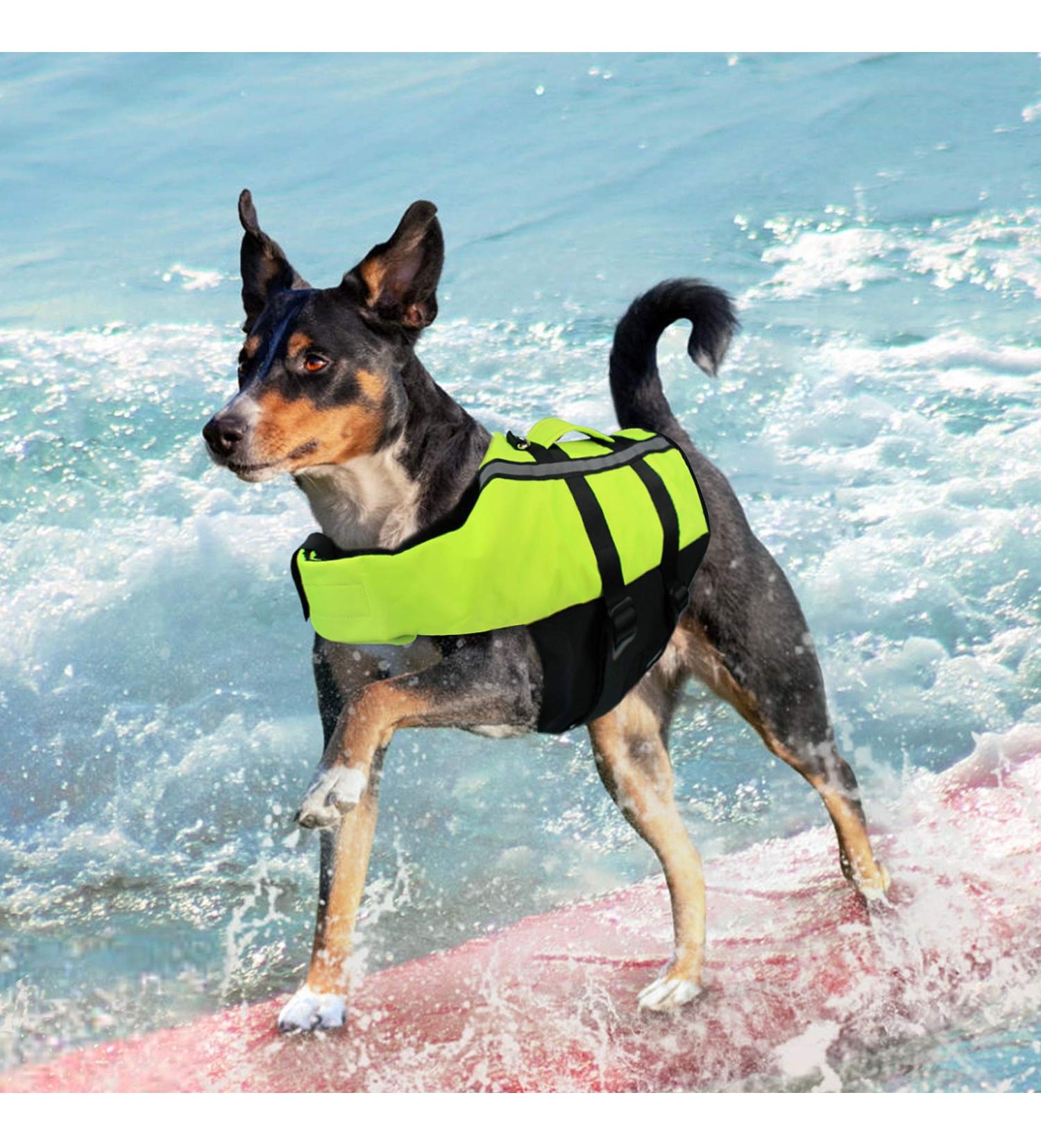 NAMSAN Dog Life Jackets - Portable Inflatable Life Jacket for Small Medium & Large Dogs - Green-M M Green - Buy Now! - Buy Online on GoSupps.com