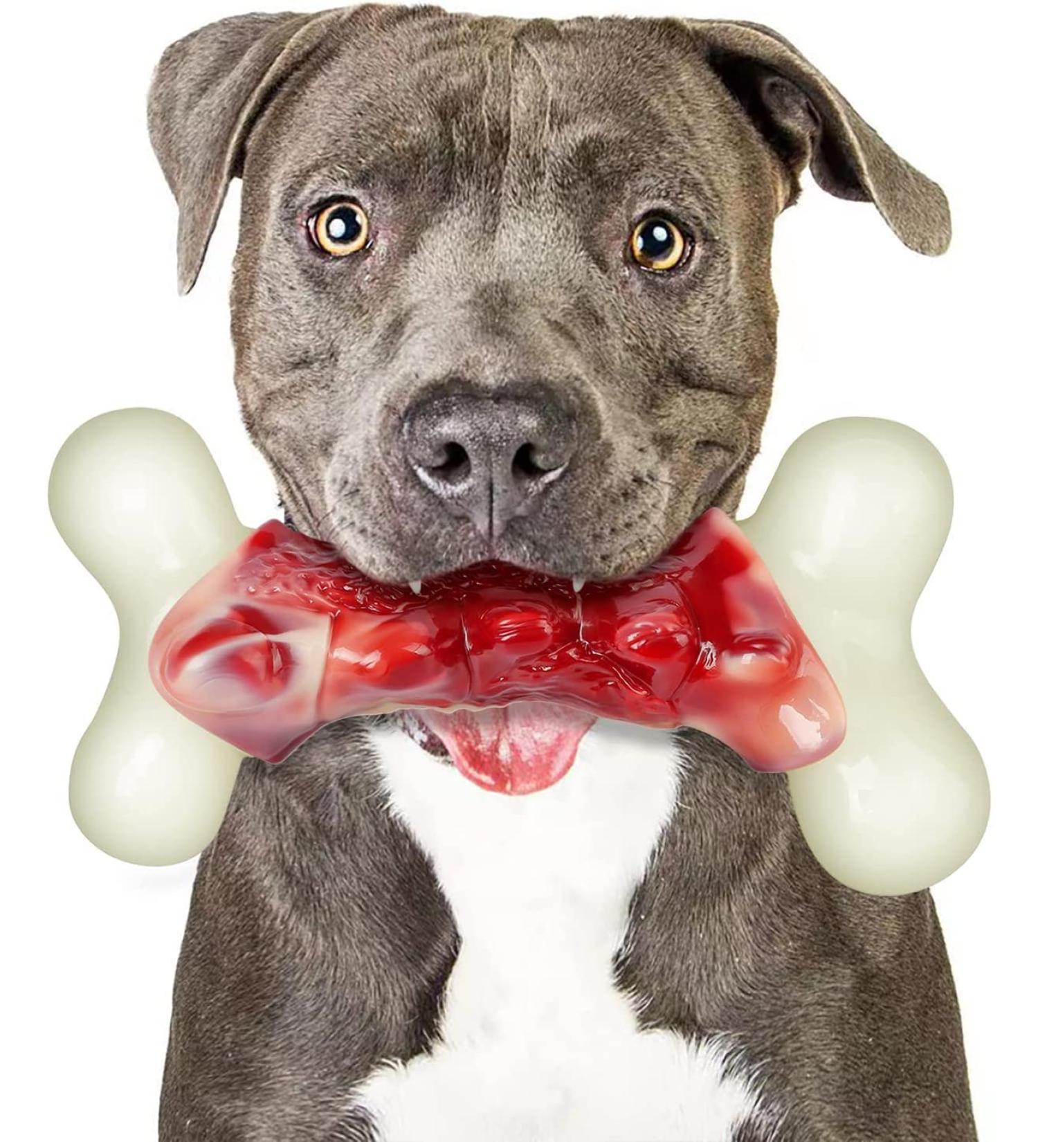 2TRUL Indestructible Dog Toy for Aggressive Chewers - Real Bacon Flavored Chew Bone for Large Dogs - Best Toy to Keep Them Busy - Buy Online on GoSupps.com