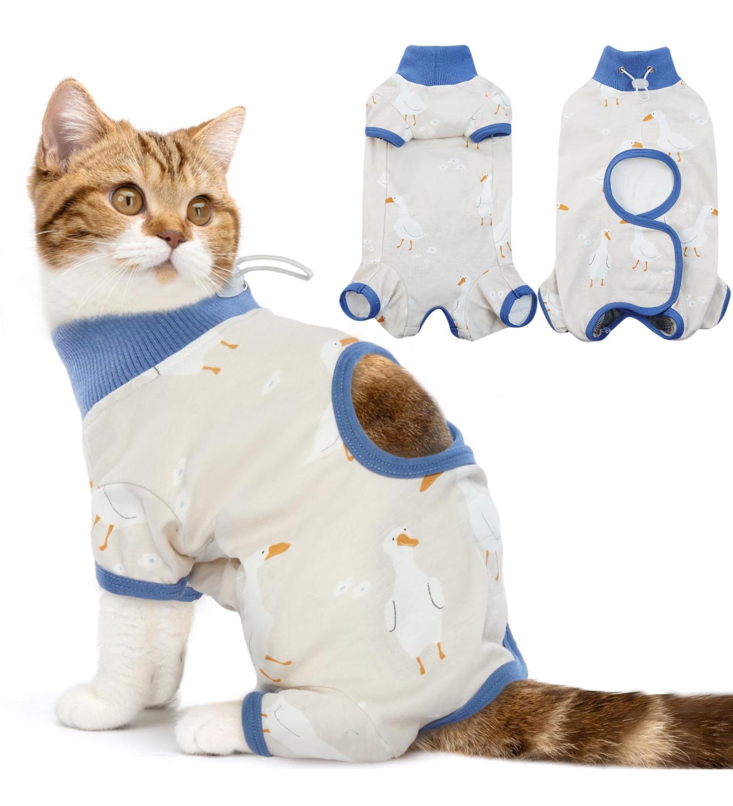 Dertrun Cat Surgery Soft Romper - Anti-Lick Abdominal Wound Suit for Kittens & Cats | Surgical Cone Replacement - Blue - Buy Online on GoSupps.com
