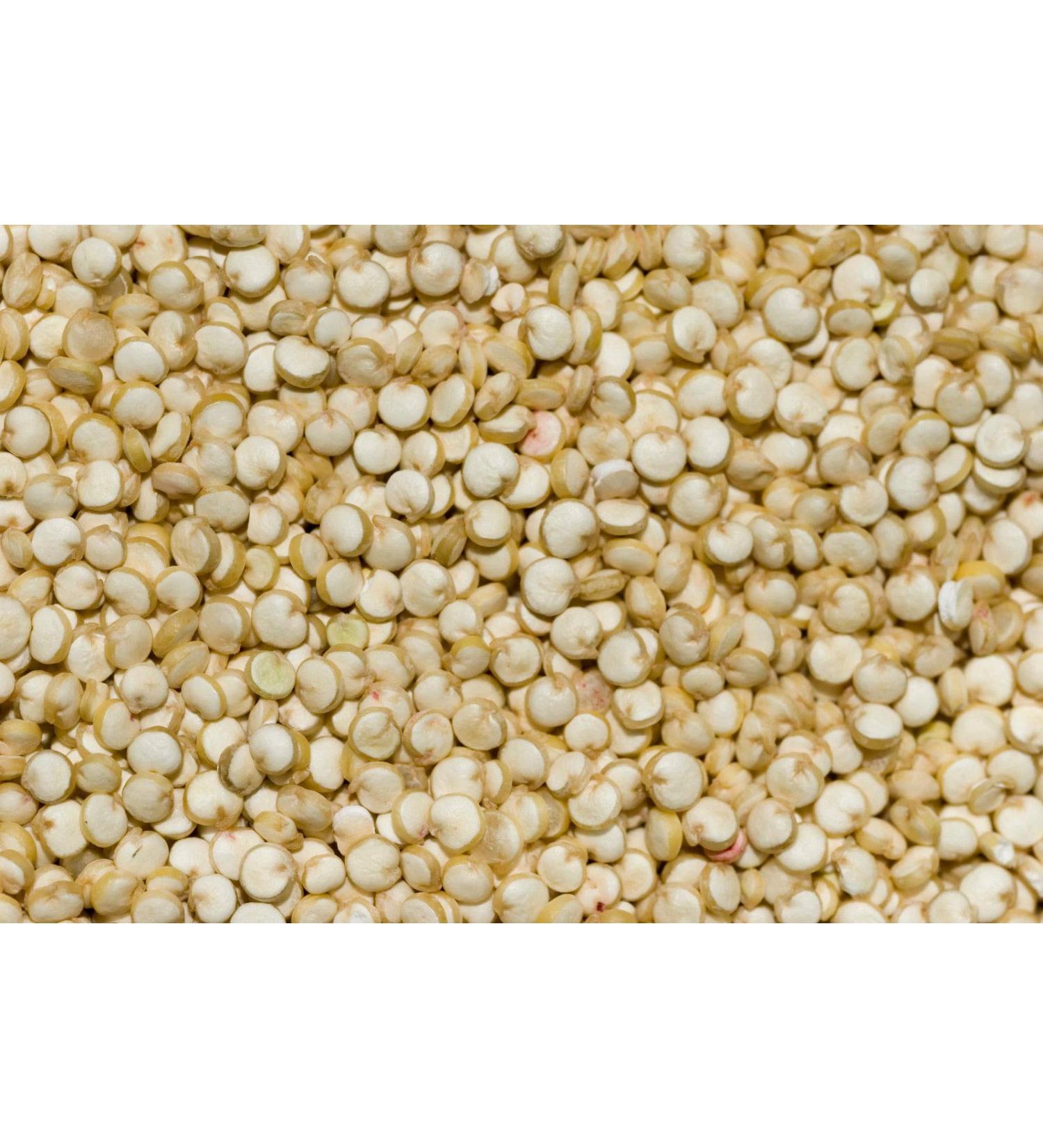 Portal Cool 600 Bianco Quinoa semi di cereali Nt