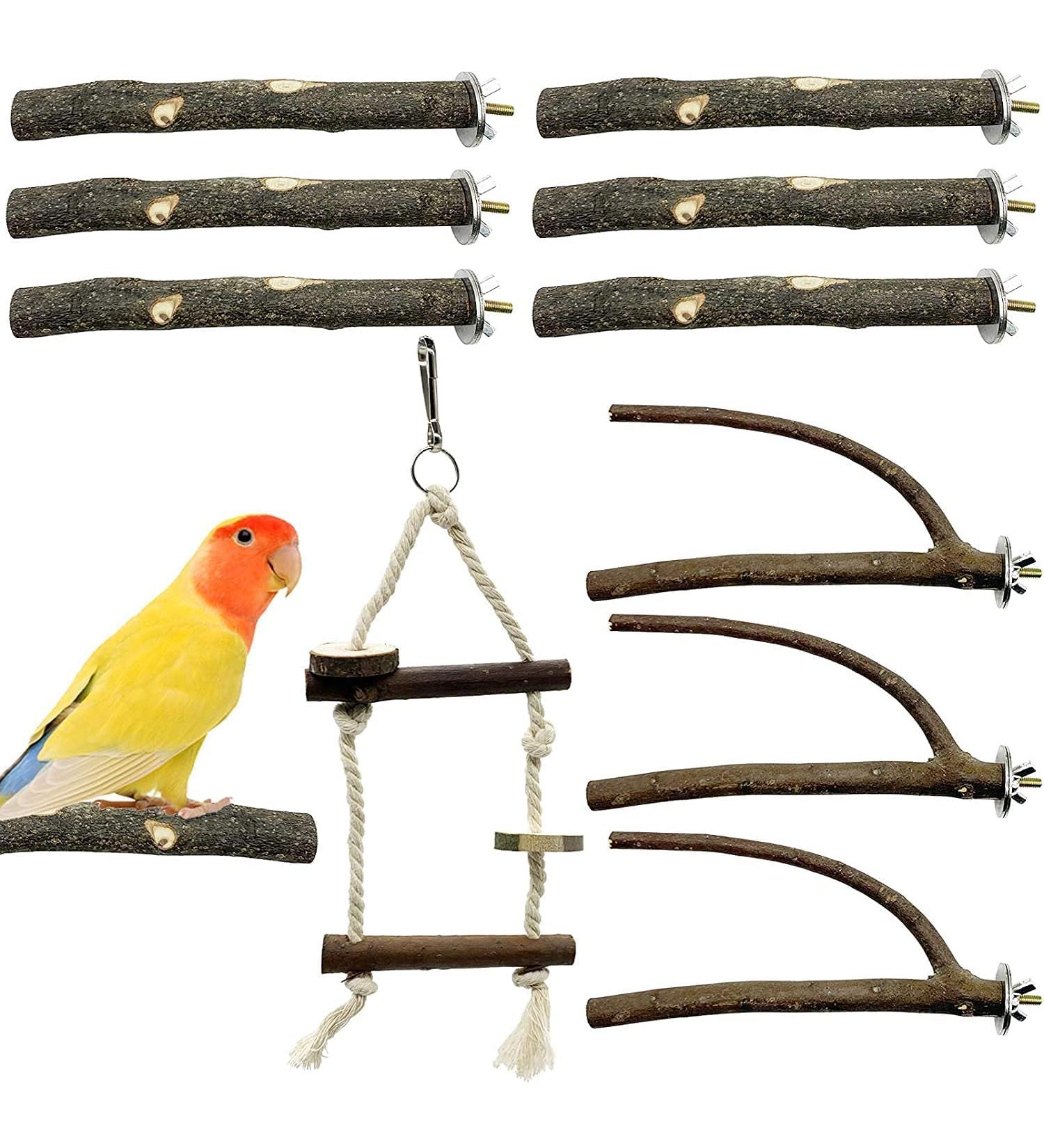 10-Piece Natural Bird Accessories for Budgies Canaries & Lovebirds - Gionar Climbing Grinding & Standing Cage Toys - Buy Online on GoSupps.com