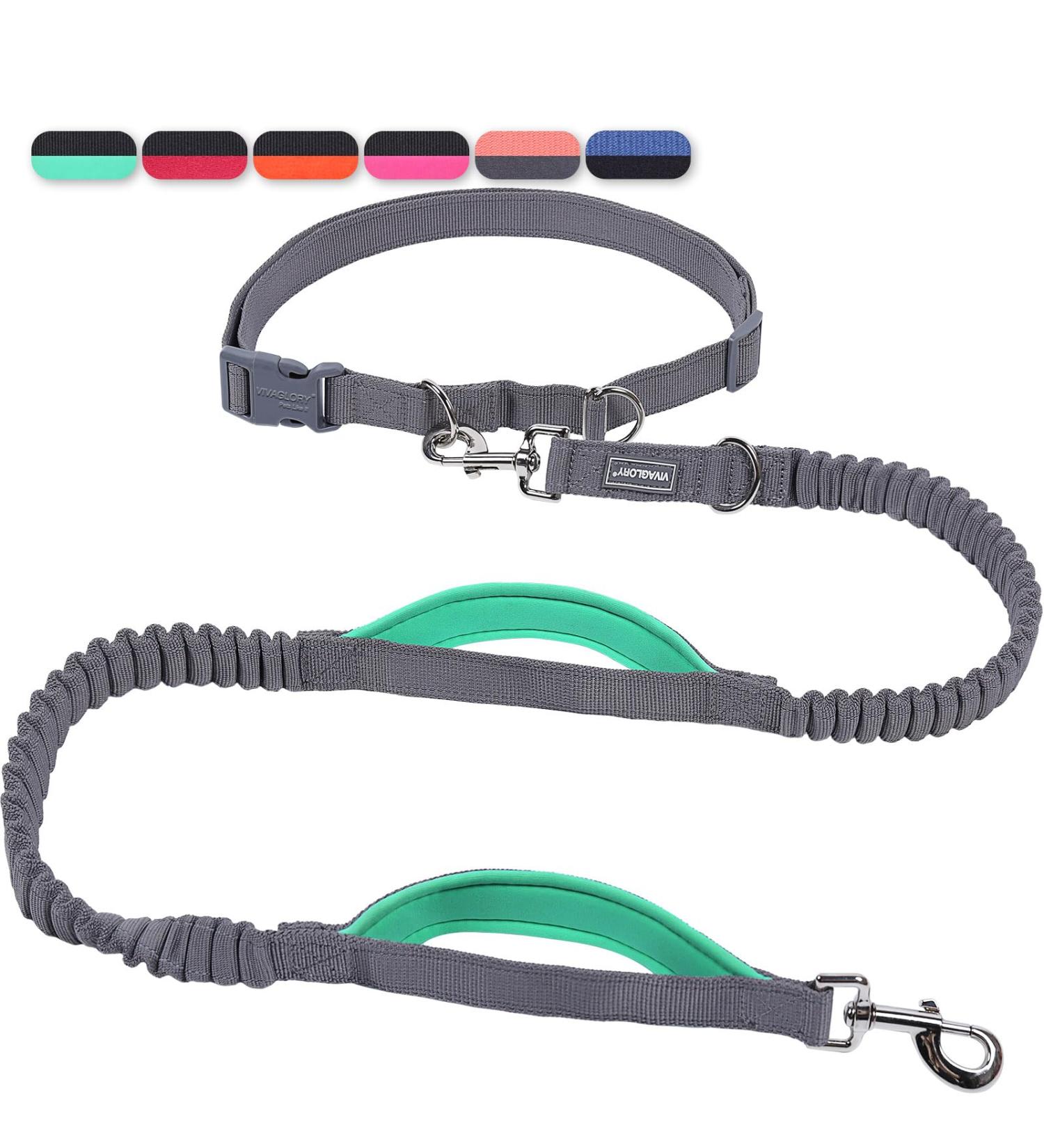 Buy Vivaglory Free-Handed Dog Leash | Padded Handles | Anti-Shock Bungee | Reflective Waist Running Leash for Medium & Large Dogs - Gray/Turquoise - Buy Online on GoSupps.com