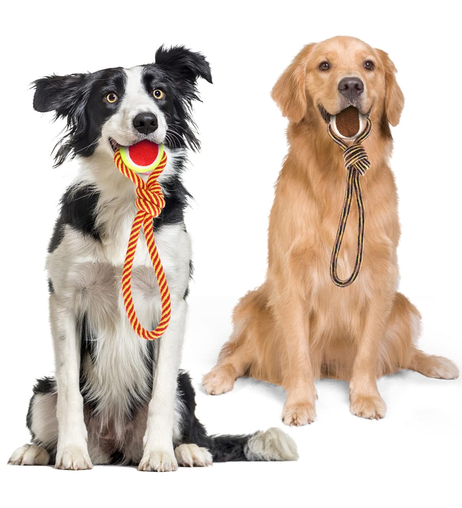 Nobleza 100% Cotton Dog Toy Rope 2 Pack 28cm | Boosts Dog's Mental & Dental Health - Buy Online on GoSupps.com