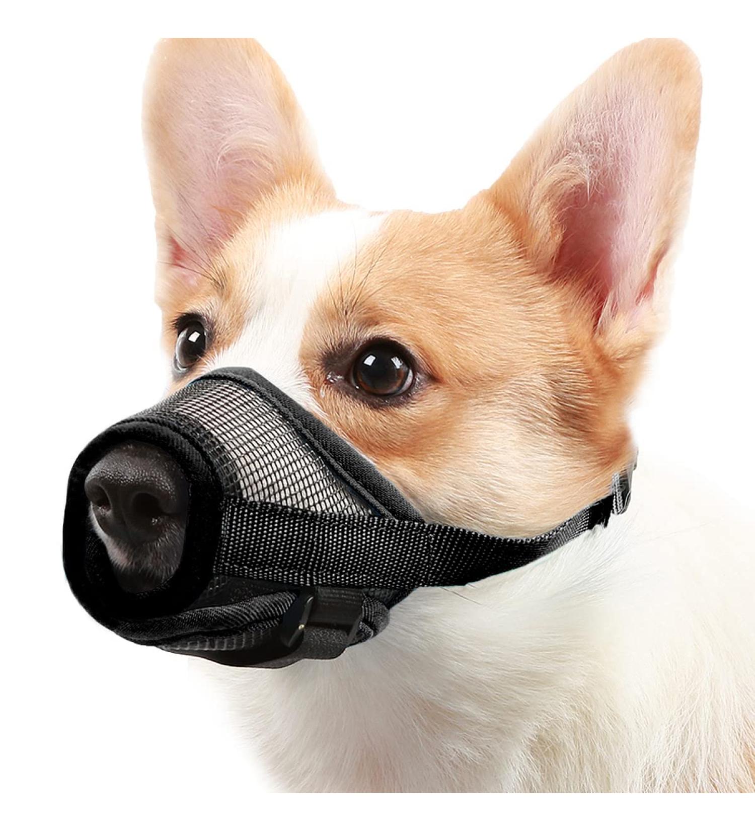 Mayerzon Adjustable Muzzle for Dogs - Breathable & Airline Approved Perfect for Small Medium Large Breeds (Black S+) | Shop Now! - Buy Online on GoSupps.com