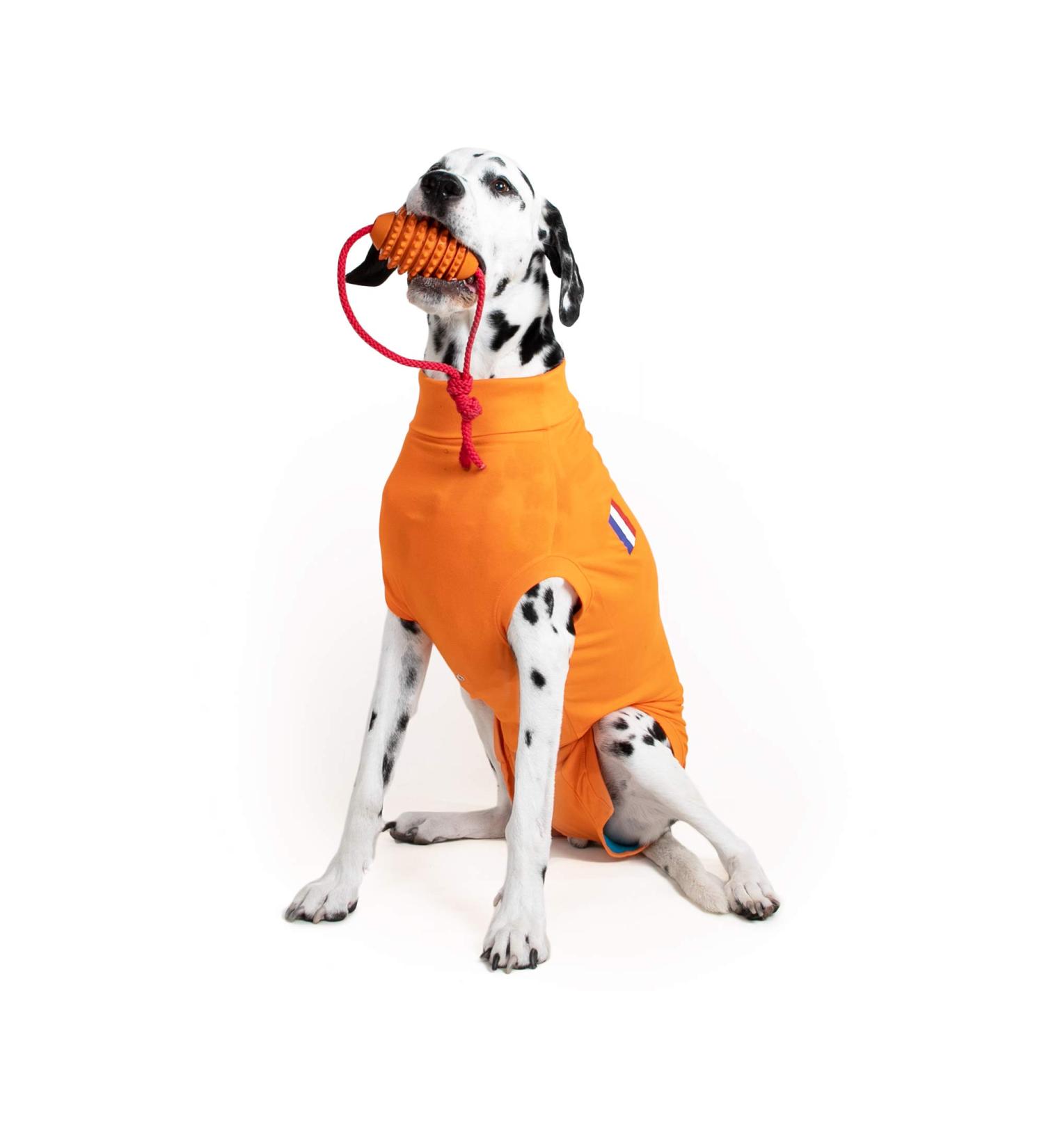 MPS Medical Pet Shirt for Dogs Orange - Size M | Durable & Stylish Recovery Wear - Buy Online on GoSupps.com
