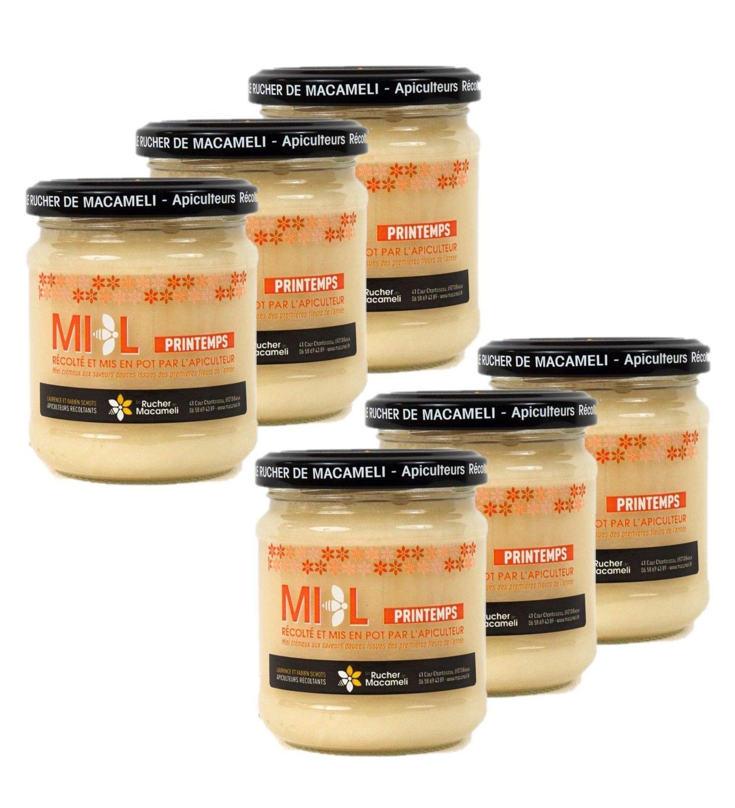 Set of 6 Spring Honey – Monts du Lyonnais – Rhône Alpes – Le Rucher de Macameli – Pot 250 g