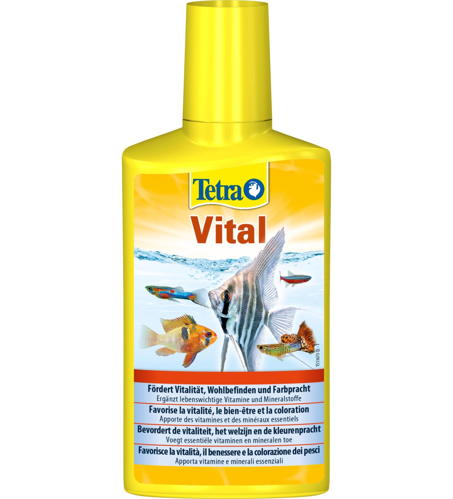 Tetra Vital - Boost Fish Vitality & Color | Vitamins & Minerals | 250 ml Bottle - Buy Online on GoSupps.com
