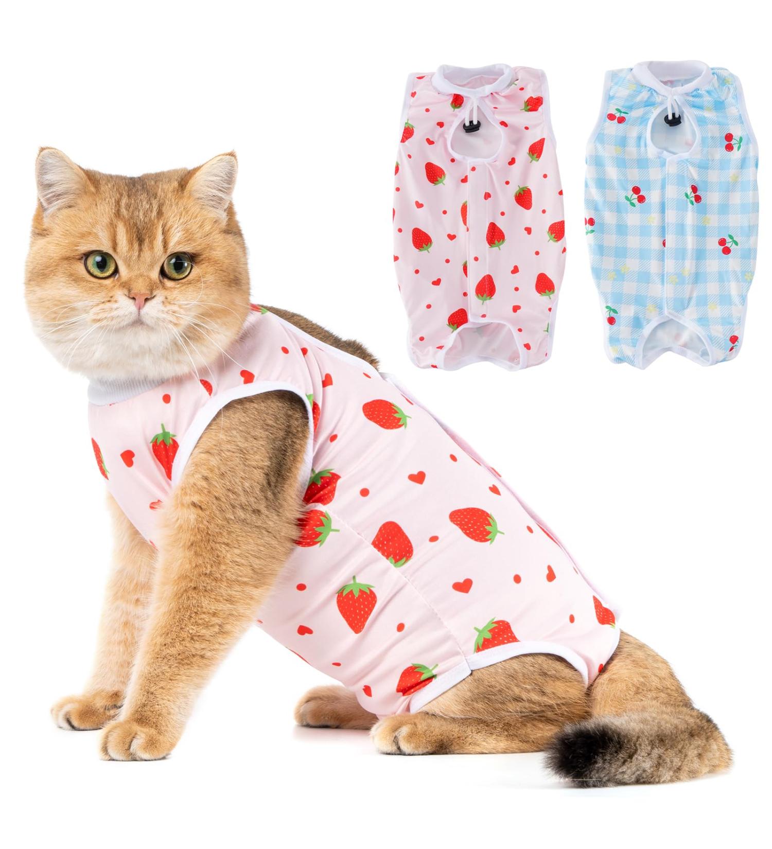 Avont 2 Pack Cat Recovery Suit - Kitten Onesie for Cats After Surgery Cone of Shame Alternative Surgical Spay Suit for Female Cat Post-Surgery or Skin Diseases Protection -Cherry/Strawberry (S) Cherry/Strawberry Small - Buy Online on GoSupps.com