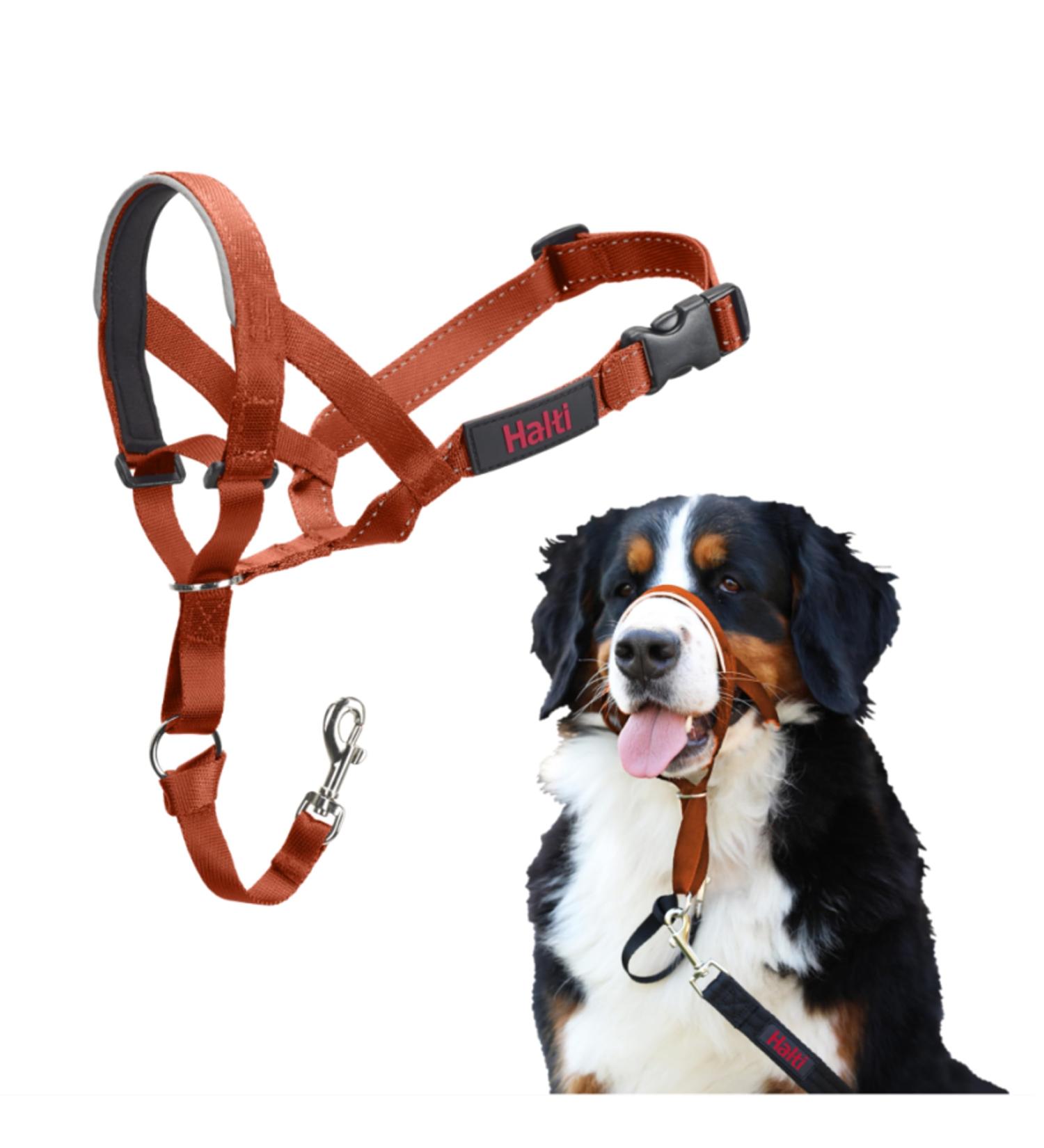 Halti Head Harness for Large Dogs | Prevent Pulling Light & Padded | Size 4 Dark Orange - International Shipping Available - Buy Online on GoSupps.com