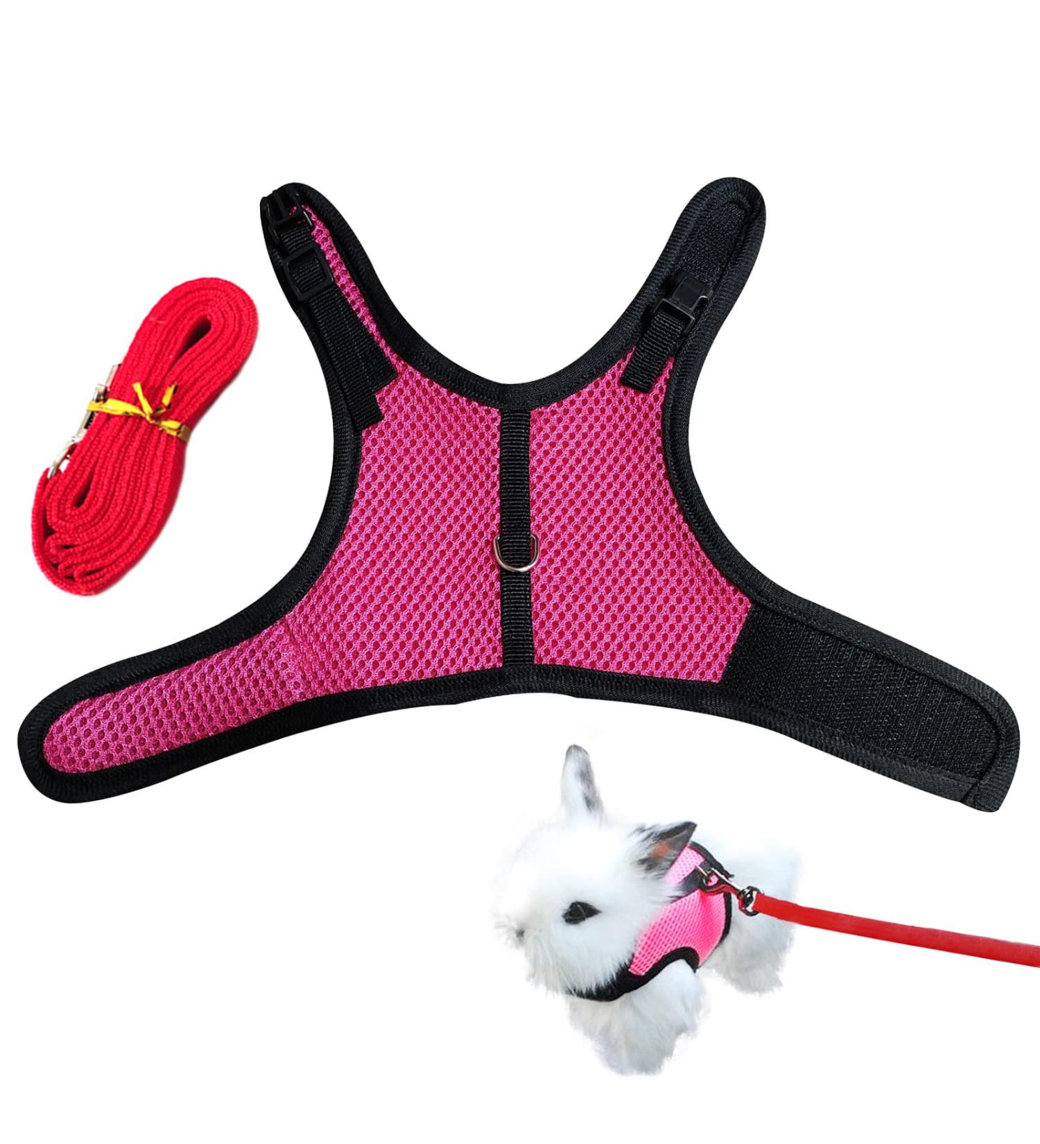 CHIPKART Small Pet Harness No Pulling Comfort Vest Guinea Pig Harness and Leash Set for Ferret Rats Bunny Hamster(L) - Buy Online on GoSupps.com