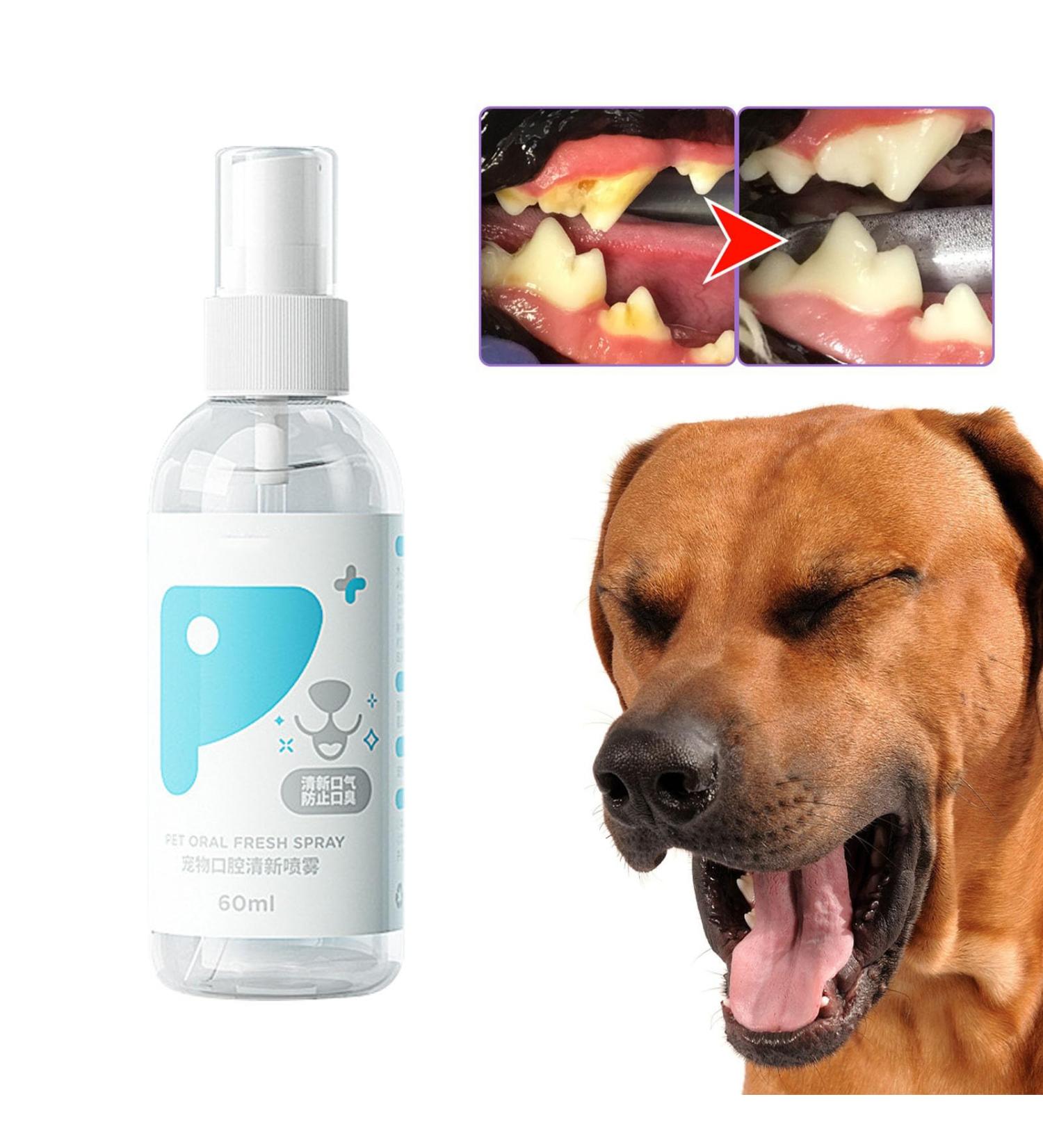 PUCHEN Teeth Cleaning Spray for Pet Pet Teeth Cleaning Spray 60ml - Cleaning Dog Teeth Spray Odors and Freshen Breath for Home Outdoor Travel Use - Buy Online on GoSupps.com