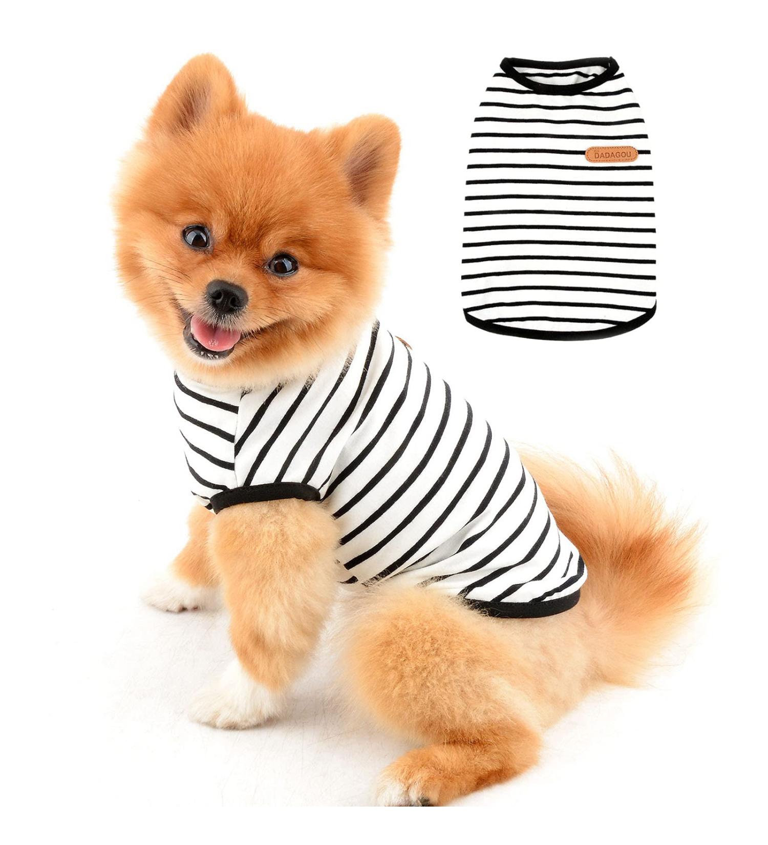 Paidful British Dog Shirt - Striped Soft Cotton T-Shirt for Small Dogs | Breathable Summer Vest for Puppies & Chihuahuas (L: 30cm) - Buy Online on GoSupps.com