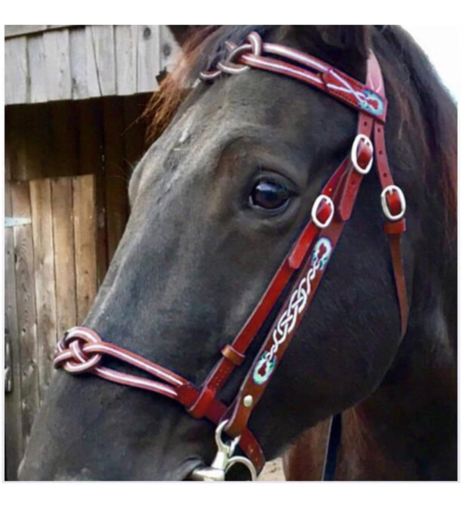 English Horse Bridle - Adjustable Leather Noseband | Red Horse Accessories for Racing & Equestrian Equipment - Buy Online on GoSupps.com