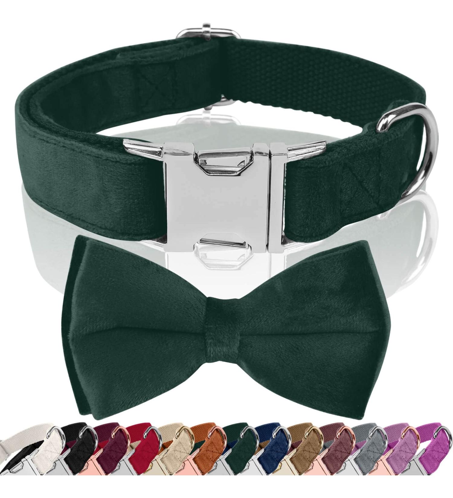 Asvin Velvety Dog Collar - Soft & Comfortable XL in Green with Removable Dog Fly | Perfect for Weddings Birthdays & Parties | Multi-Color Options Available - Buy Online on GoSupps.com
