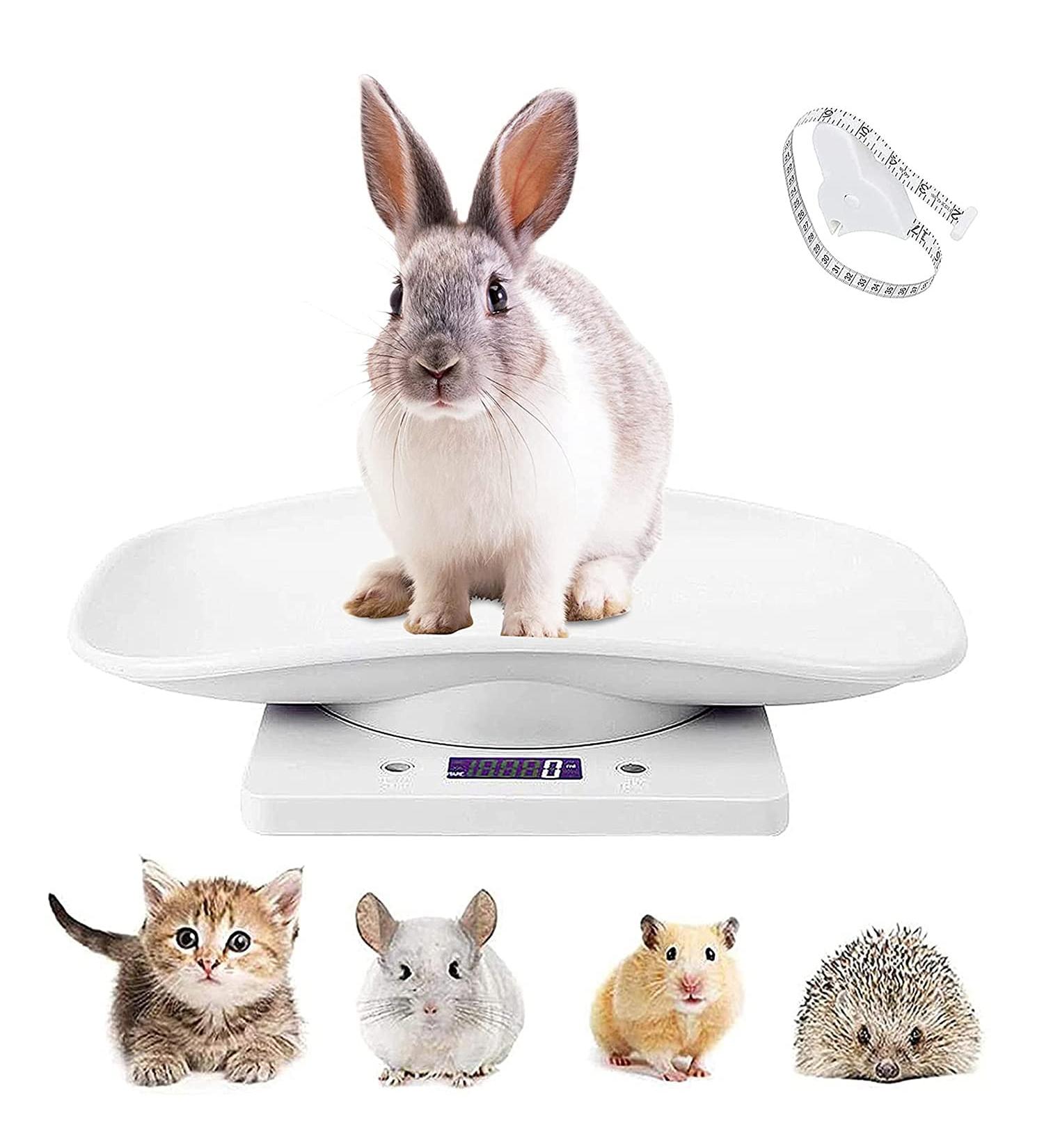 Buy Digital Pet Scales | Electronic LCD Weight Scale for Small Animals & Kitchen Use - Max 10 kg - Buy Online on GoSupps.com