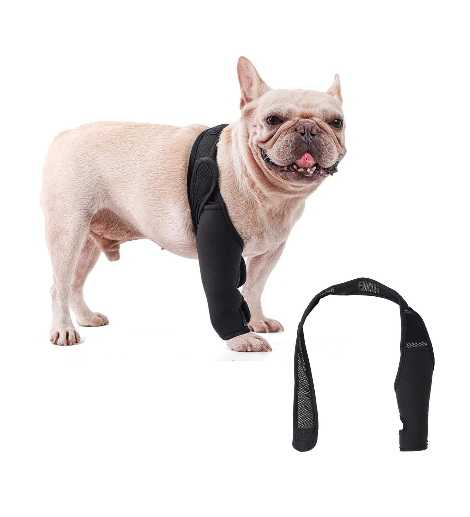 Dog Leg Brace Elbow Brace Protector Pads for Small Dogs and Cats Support Elbow Hygroma Shoulder Dysplasia Osteoarthritis Elbow Calluses and Shoulder Dislocation(S) - Buy Online on GoSupps.com