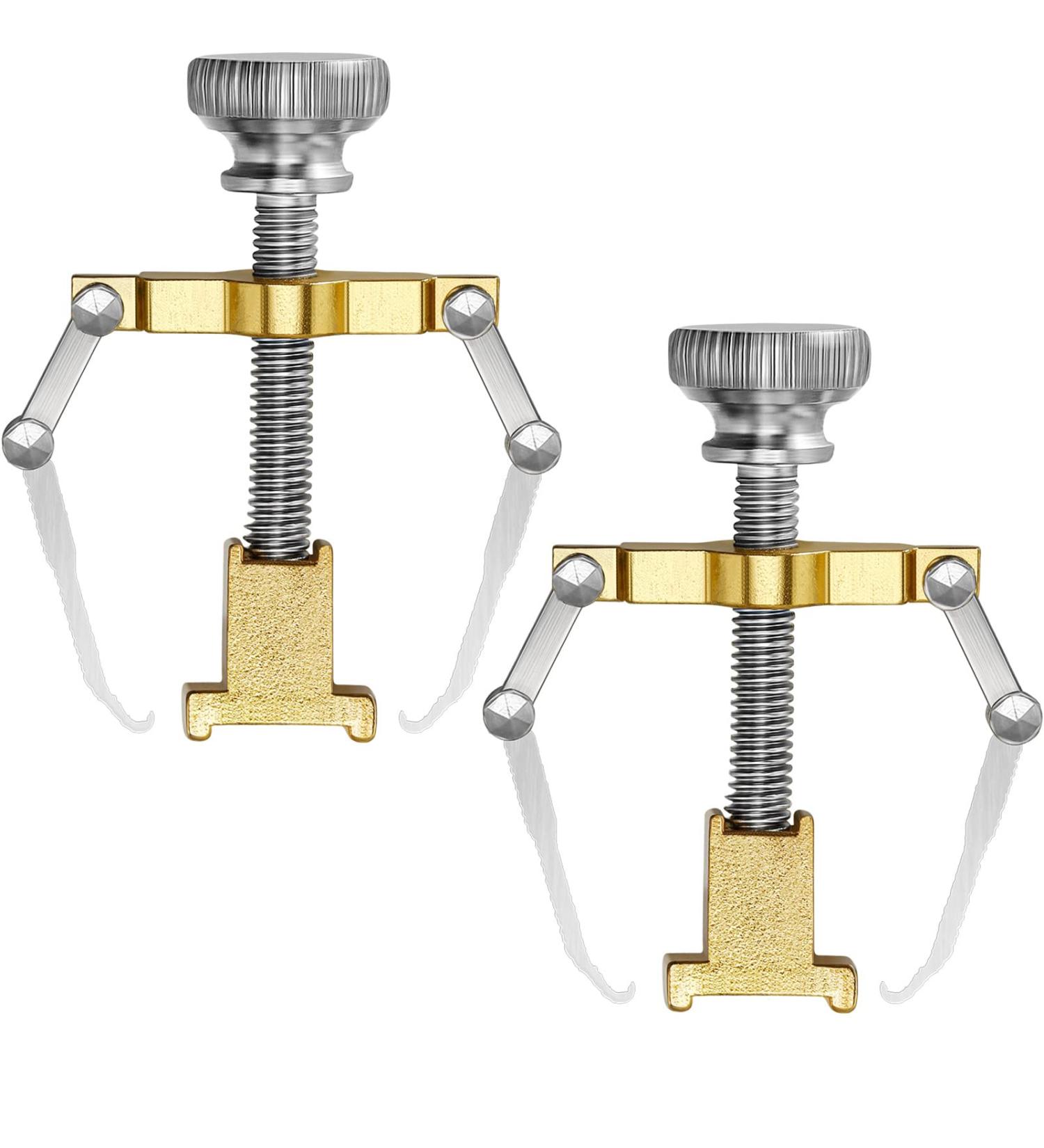 Ingrown Toenail Lifter Set - Stainless Steel Toe Clamp for Paronychia - 2 Pieces (Gold) - Buy Online on GoSupps.com