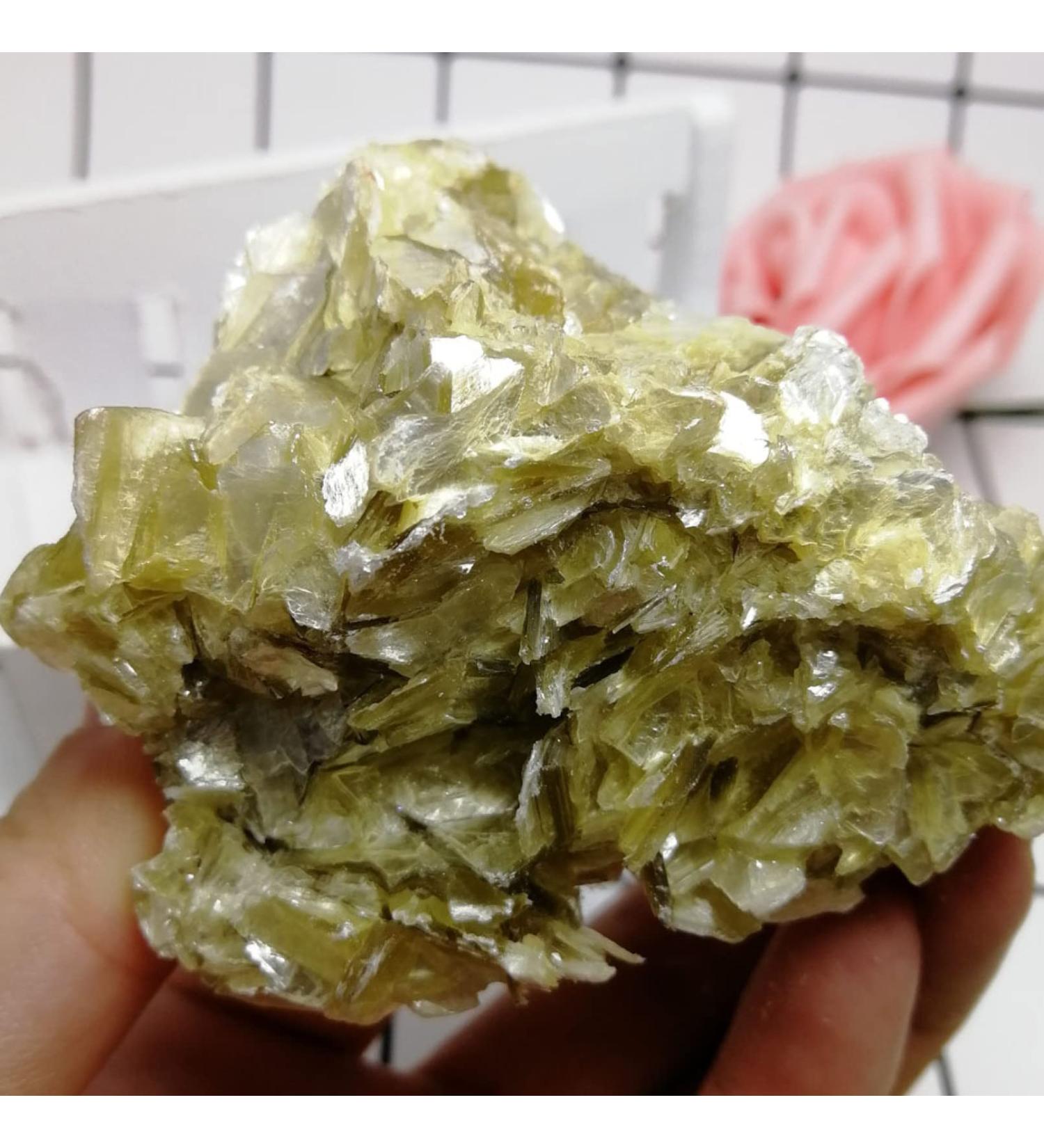 Natural Crystal Rough 1pc Natural Stone Green Crystal Cluster Specimen Ornaments Raw for Home Fish Tank Garden Flower Pots Decoration Household (Color : Crystal Cluster 1pc Size : 300g) 300g Crystal Cluster 1pc - Buy Online on GoSupps.com