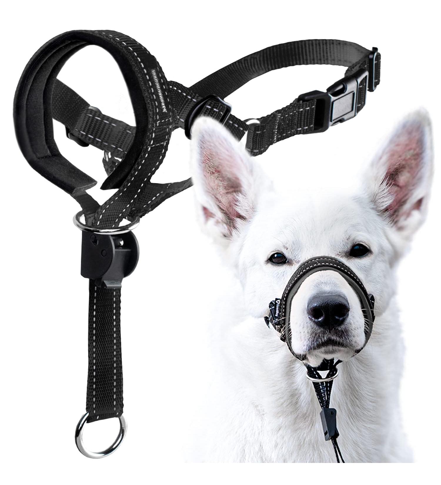 Goodboy Dog Halver with Service Belt - Padded Leash Halter for All Dog Sizes - Stops Pulling & Includes Training Instructions - Size 2 - Black - Buy Online on GoSupps.com