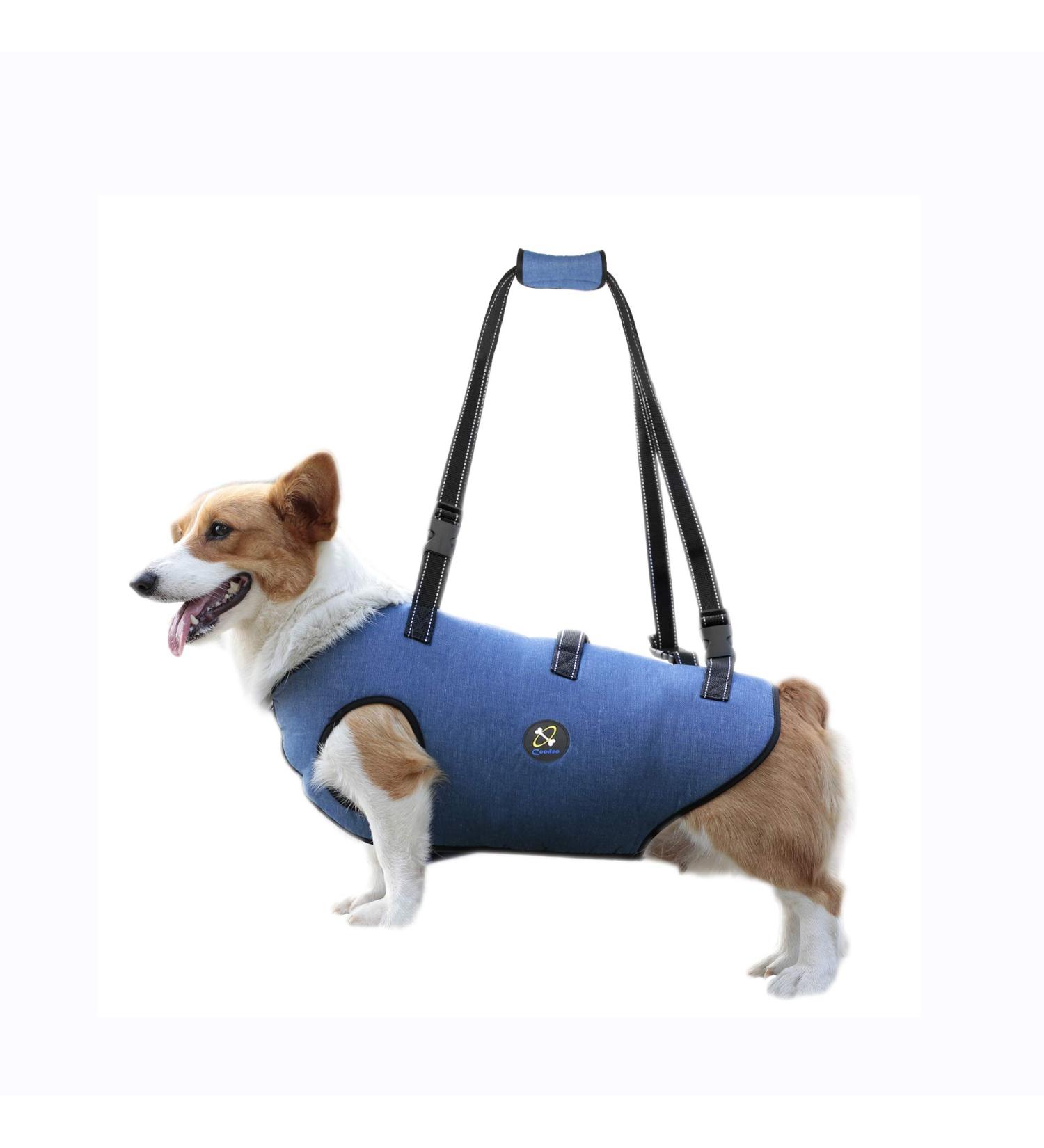 COODEO Dog Harness - Adjustable Lifting Belt for Pets | Support & Rehabilitation for Old & Disabled Dogs - Padded Breathable Straps - XS Blue - Buy Online on GoSupps.com