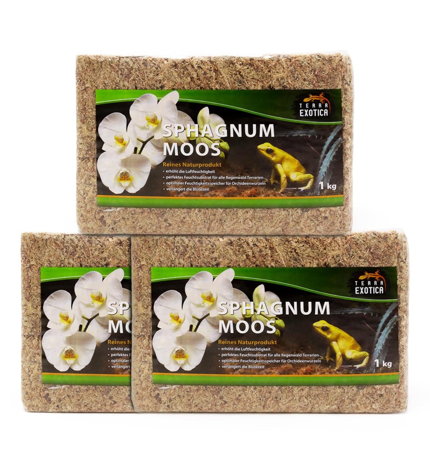 Buy Terra Exotica Sphagnum Moss (3x1 Kg) - Premium Peat Moss for Garden Houseplants & Terrariums - International Shipping Available - Buy Online on GoSupps.com
