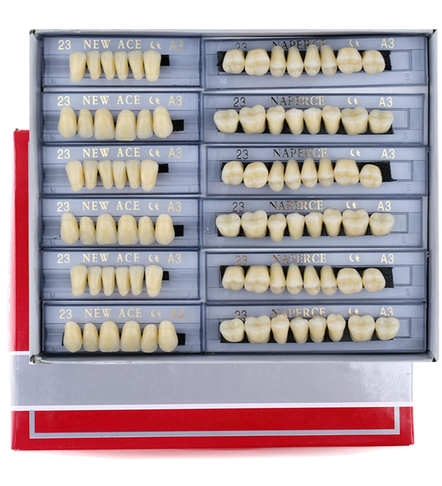 168 Pieces Complete Acrylic Resin False Teeth Denture Set - 6 Sets in A3 Shade for DIY or Halloween Costumes - Buy Online on GoSupps.com