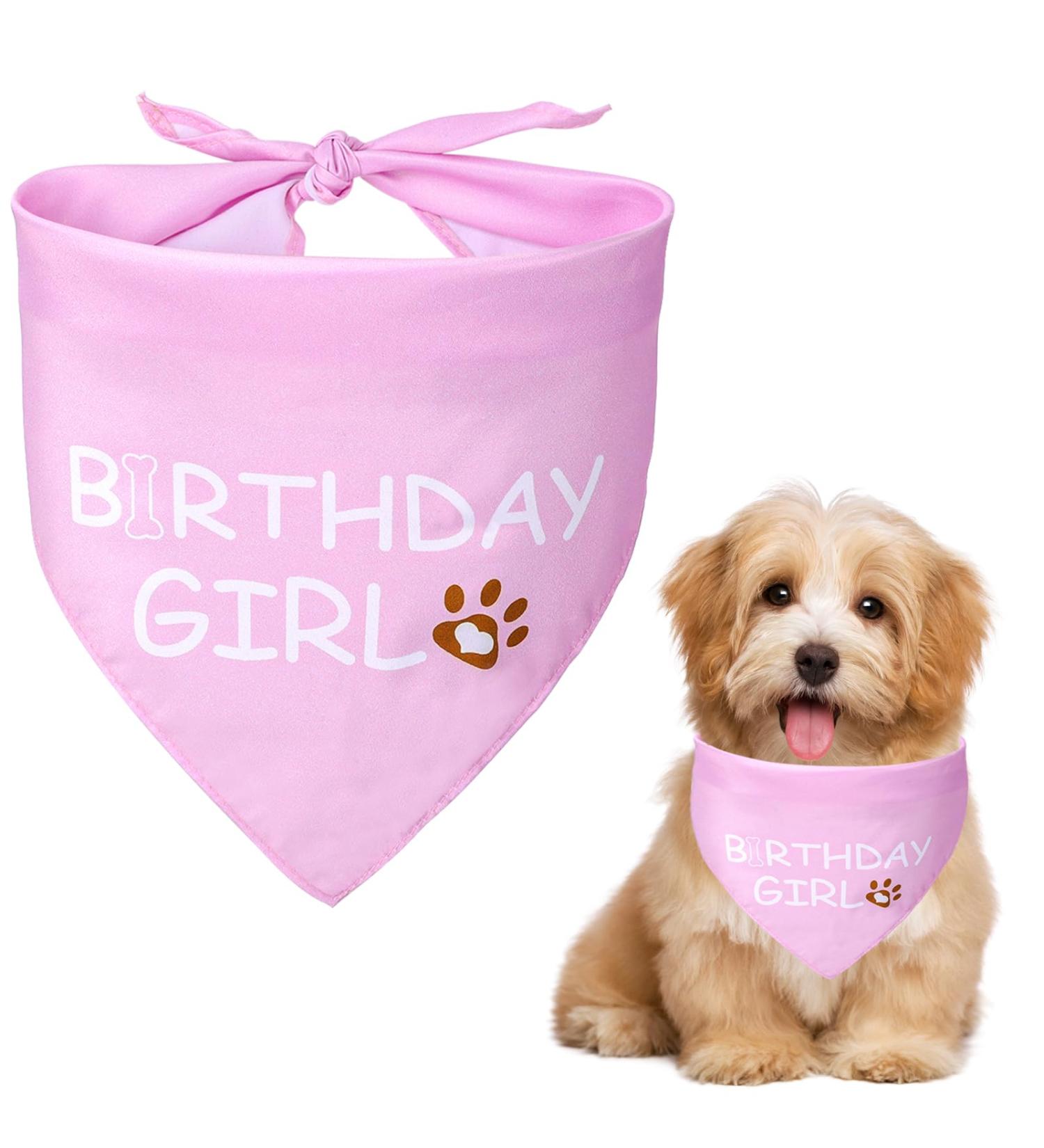 Dog Birthday Bandana Birthday Girl Dog Birthday Supplies for Small Medium Dog Pet - Buy Online on GoSupps.com