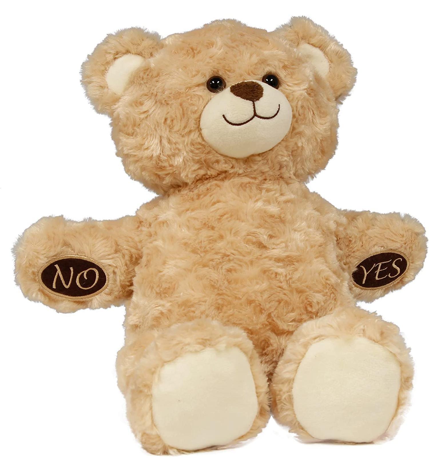 HealthPozitive MediTeddi: Electronic Medication Reminder & Talking Health Monitor Teddy Bear - Best Pill Tracker for Adults & Kids - Buy Online on GoSupps.com