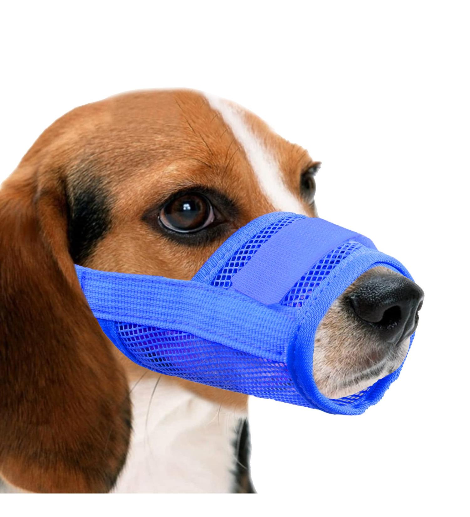 Yaodhaod XXL Blue Dog Muzzle - Breathable Nylon Mesh Adjustable Straps for Biting & Barking - Comfortable Quick-Seated Design - Buy Online on GoSupps.com