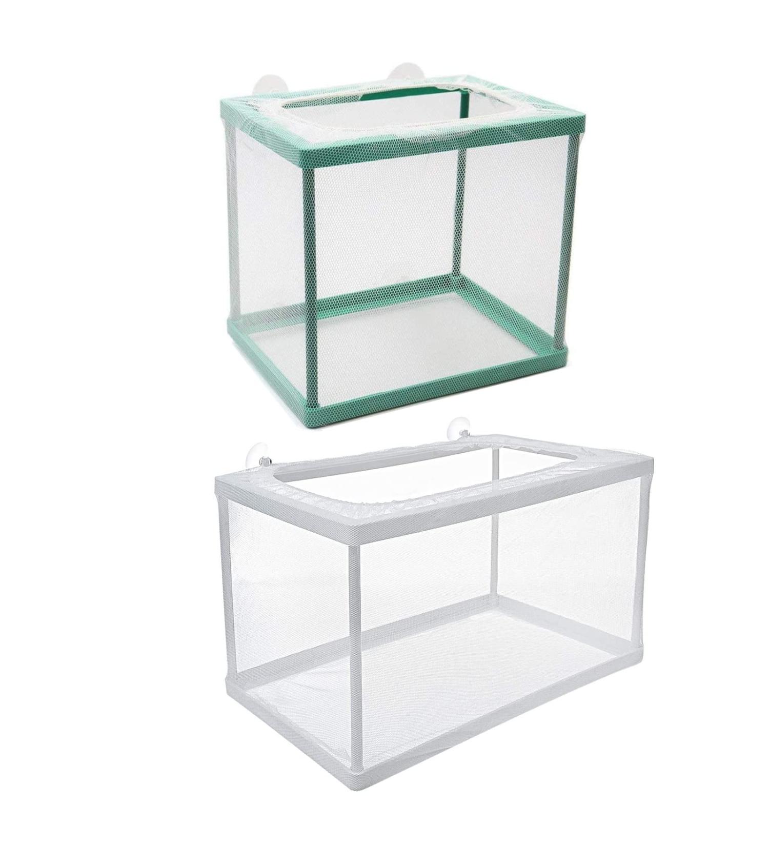 Trinidad Fish Breeding Box - Large Isolation & Nursery Container with Suction Cup for Tropical Guppies - Buy Online on GoSupps.com