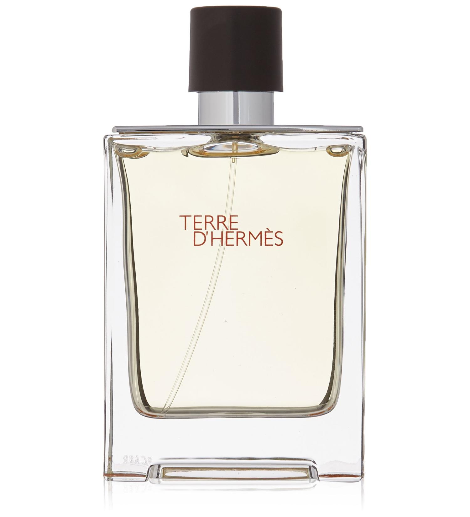 Hermes Terre D'hermes Eau de Toilette Spray for Men 3.3 Fluid Ounce - Buy Online on GoSupps.com
